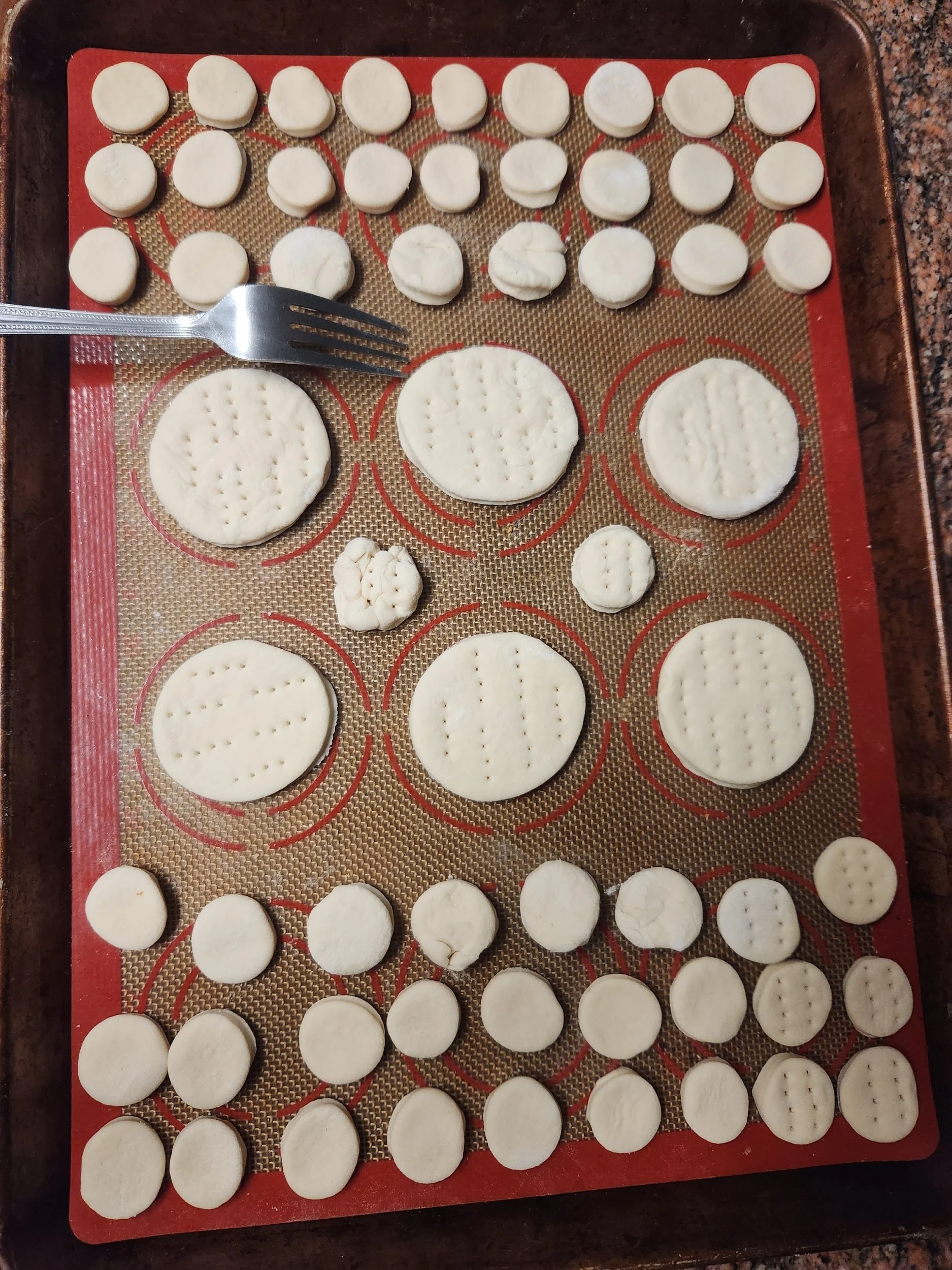 Dough cut out into circles and dimpled with a fork