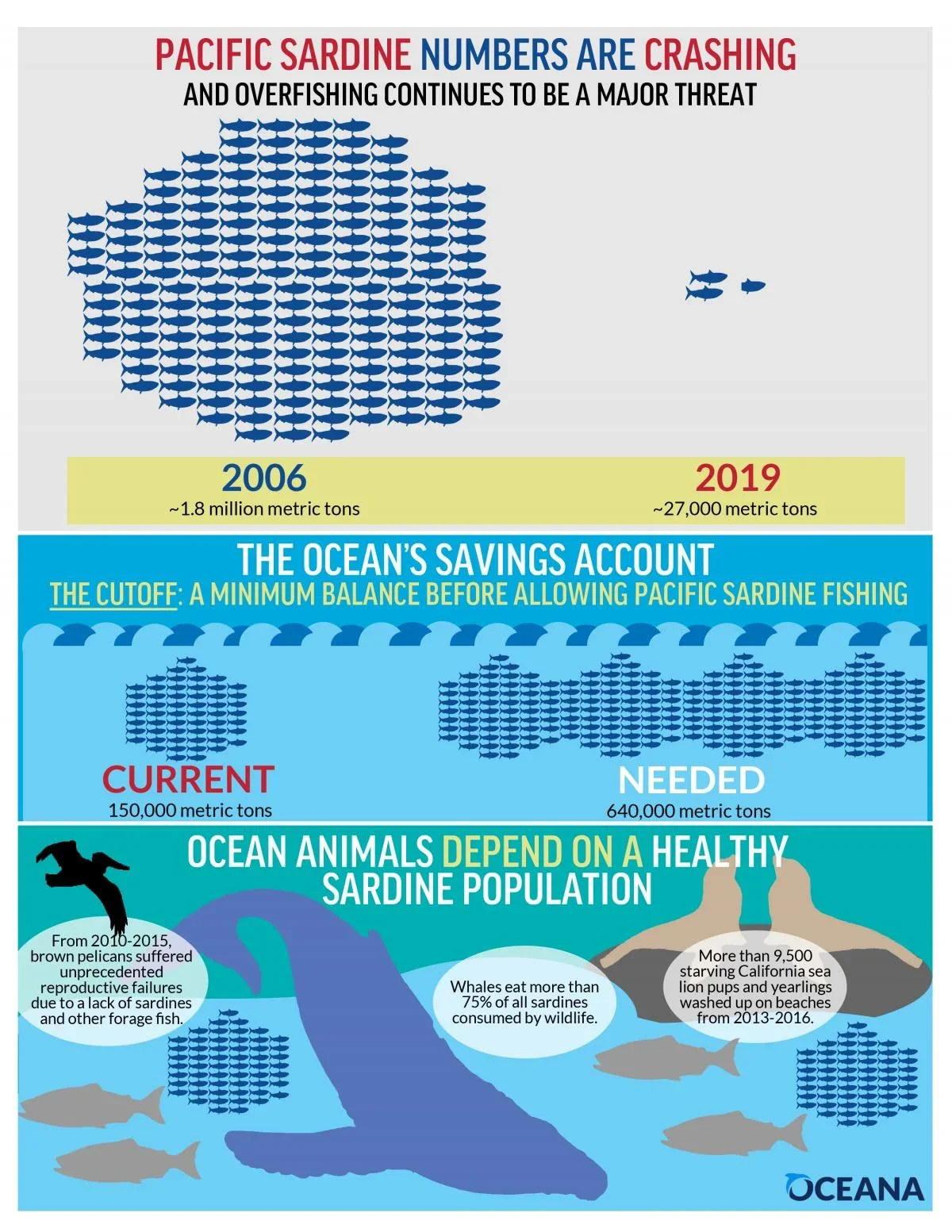 Chart of sardine number from 2006-2019