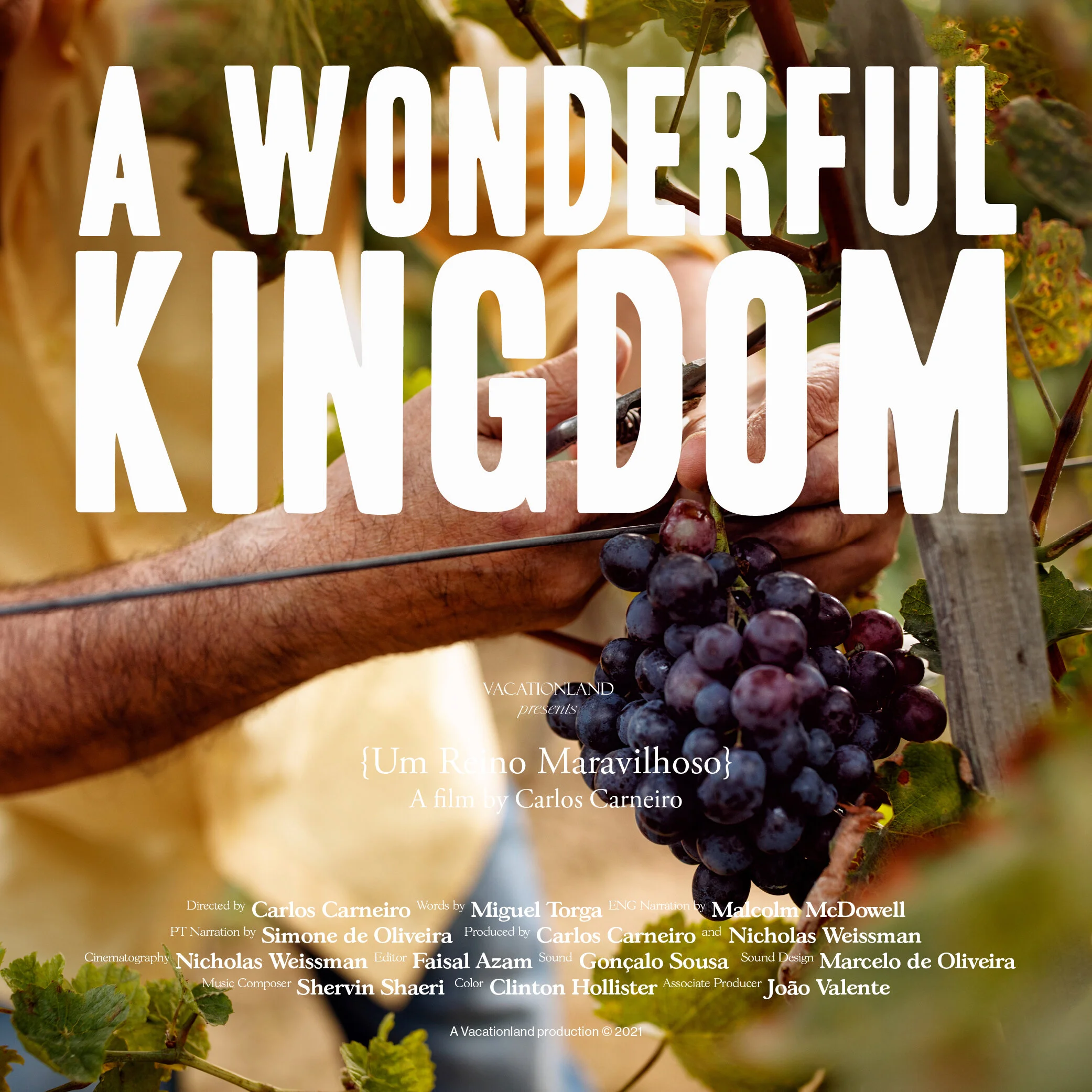 A Wonderful Kingdom - A Documentary Narrated by Malcom McDowell Released Now