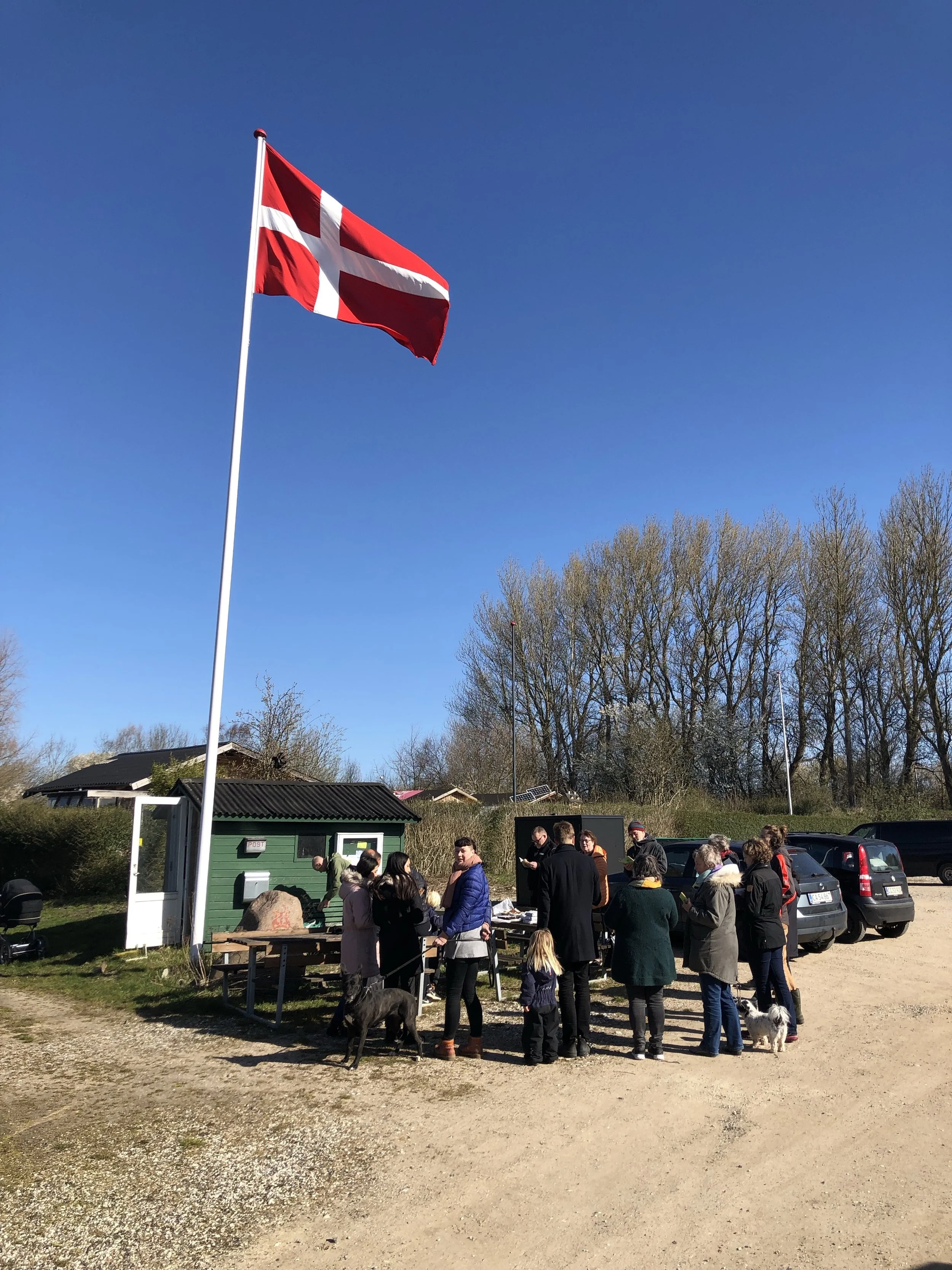 Billeder fra standerhejsning