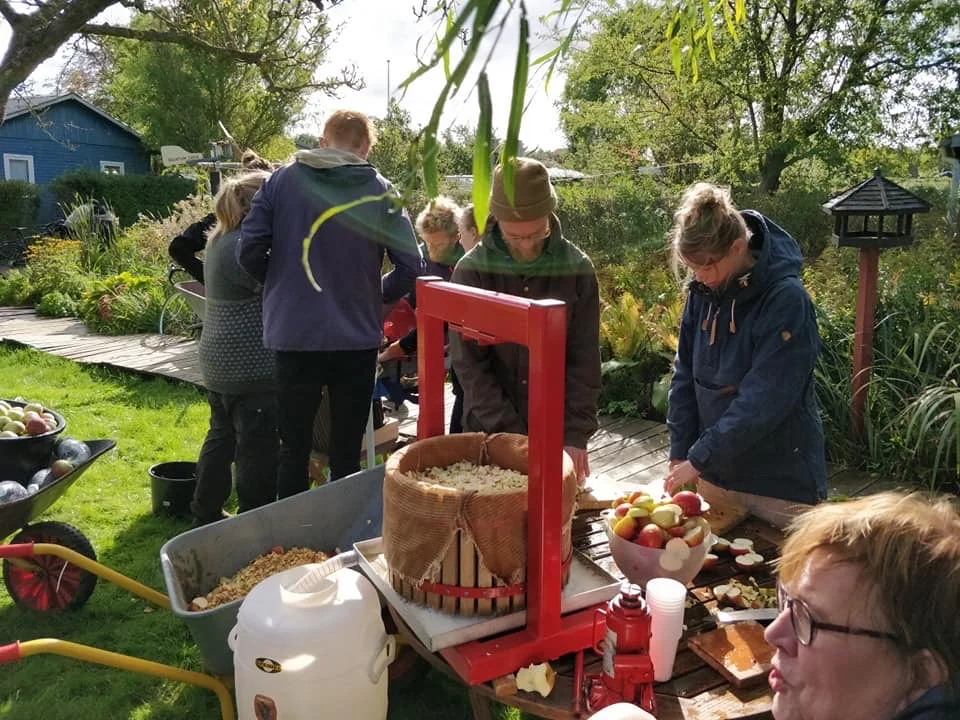Nyheder oktober 2019