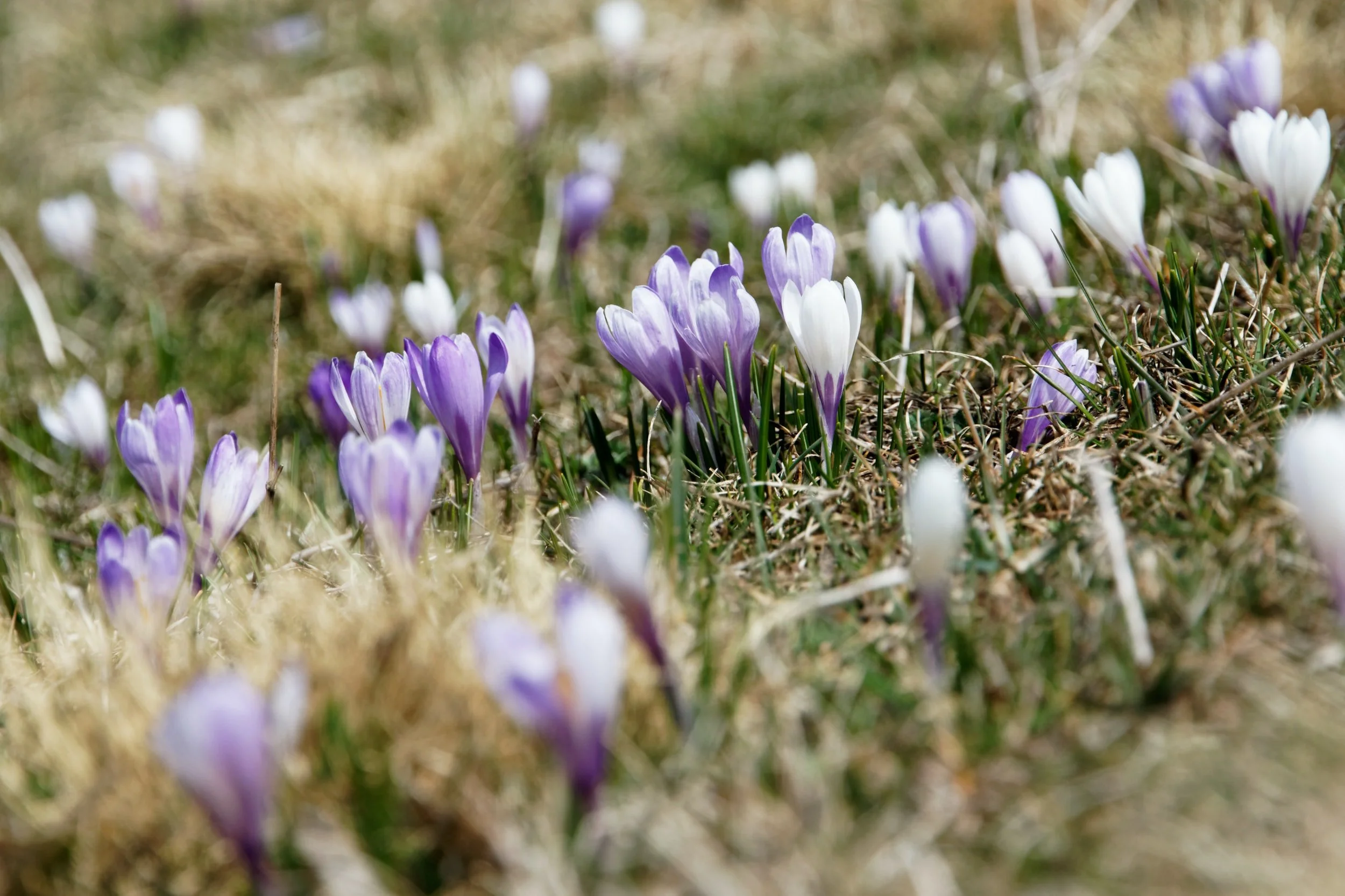 OBS Vand Lukkes Onsdag kl.07:30