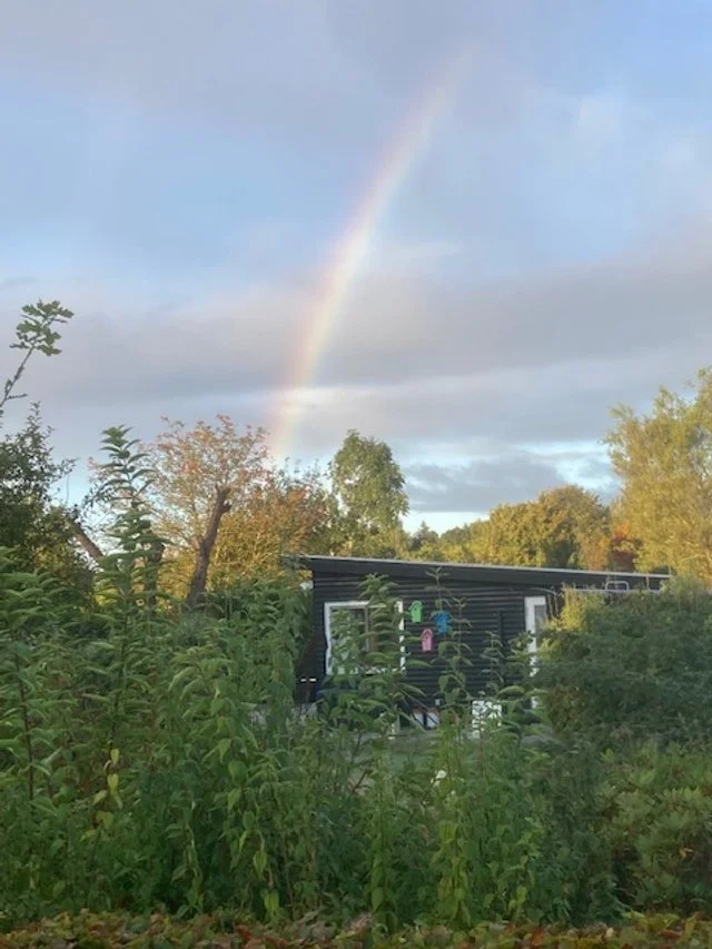 Nyhedsbrev maj 2025