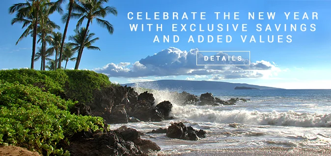 190102_NYE_Rotate_MAUI_674x318.jpg