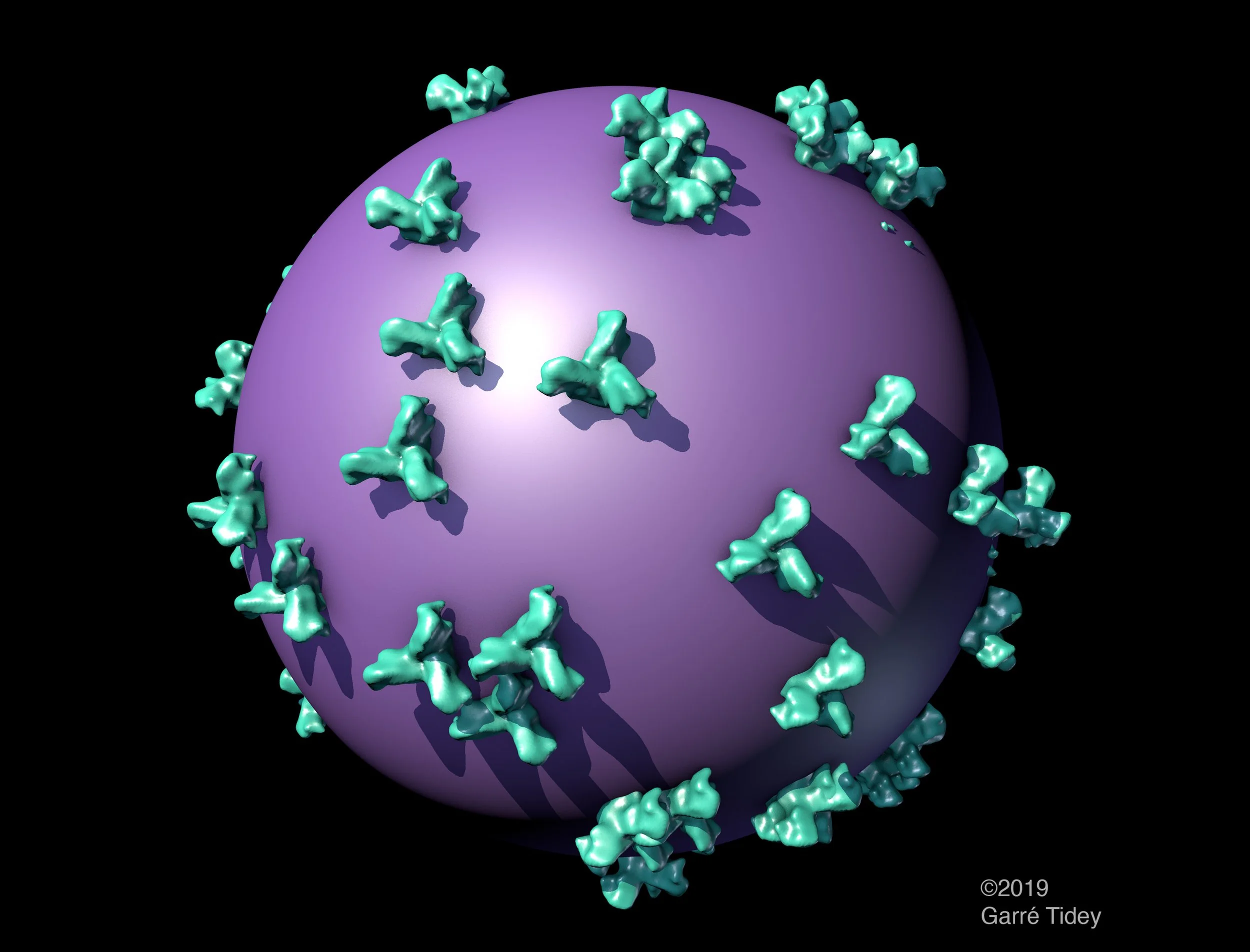 Ebola Virus Surface Protein Schematic Model. Media: PyMOL, Chimera, ePMV, Cinema 4D