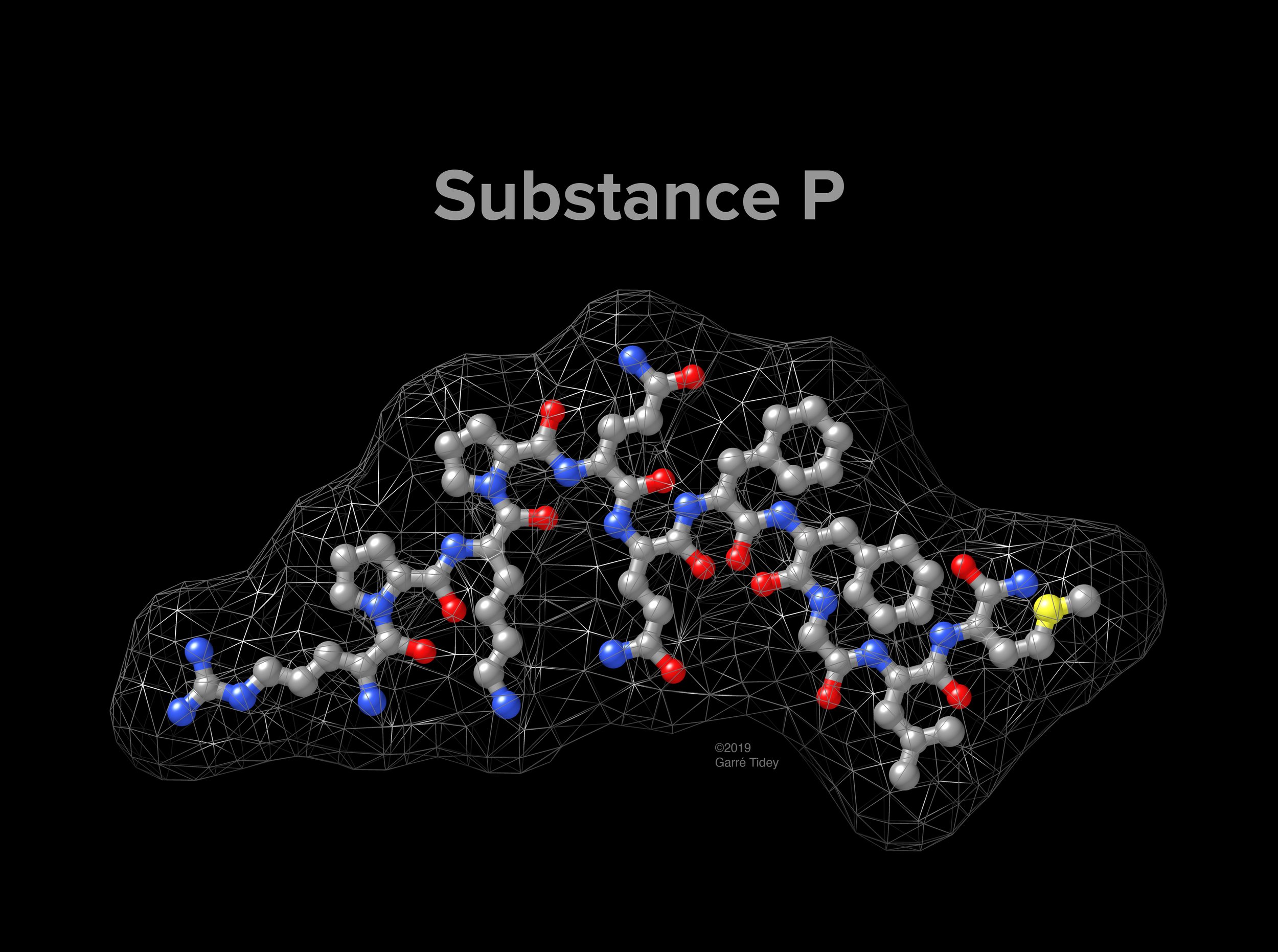 Substance P Molecular Model. Media: PyMOL, Chimera, Cinema 4D, Photoshop