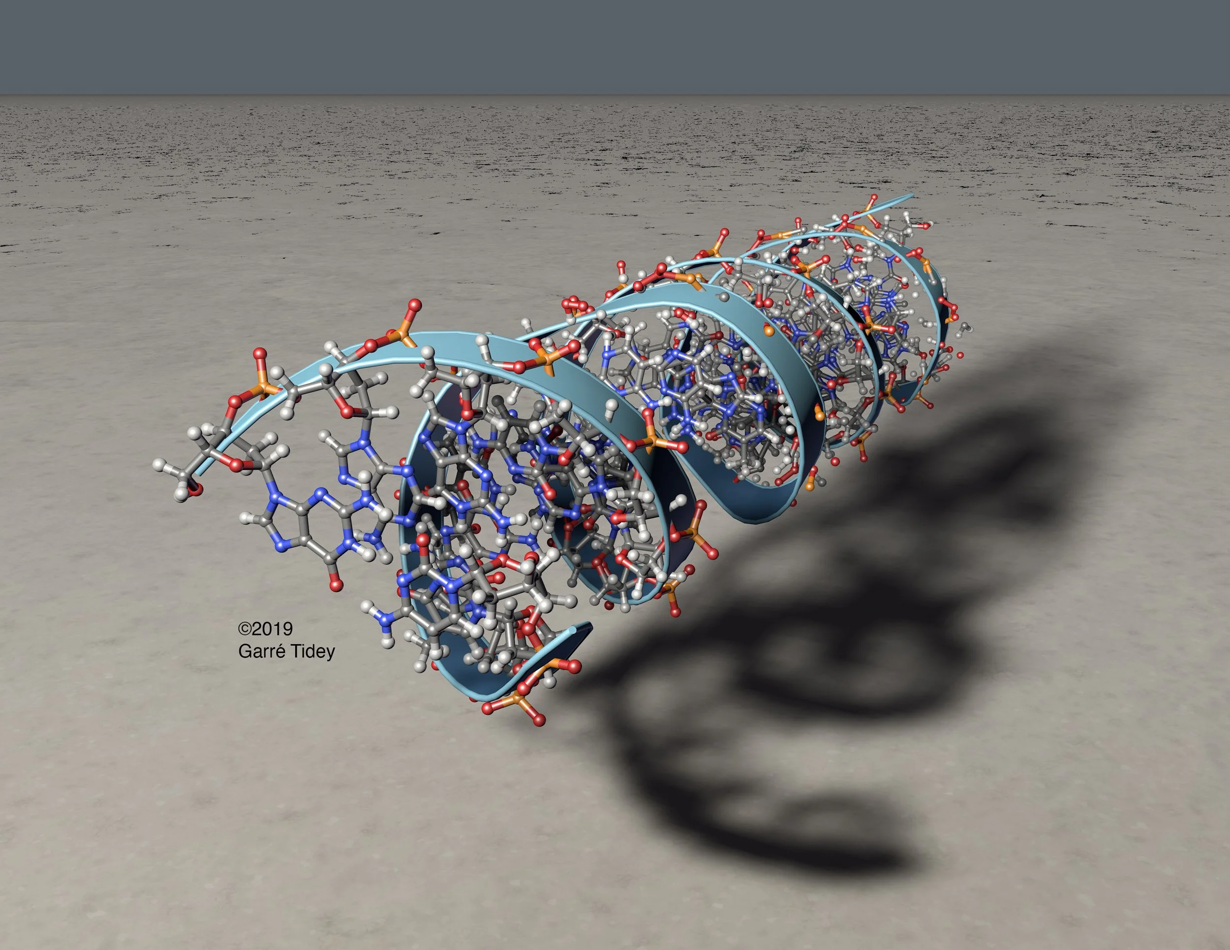 DNA Segment Molecular Model. Media: Chimera, ePMV, Cinema 4D