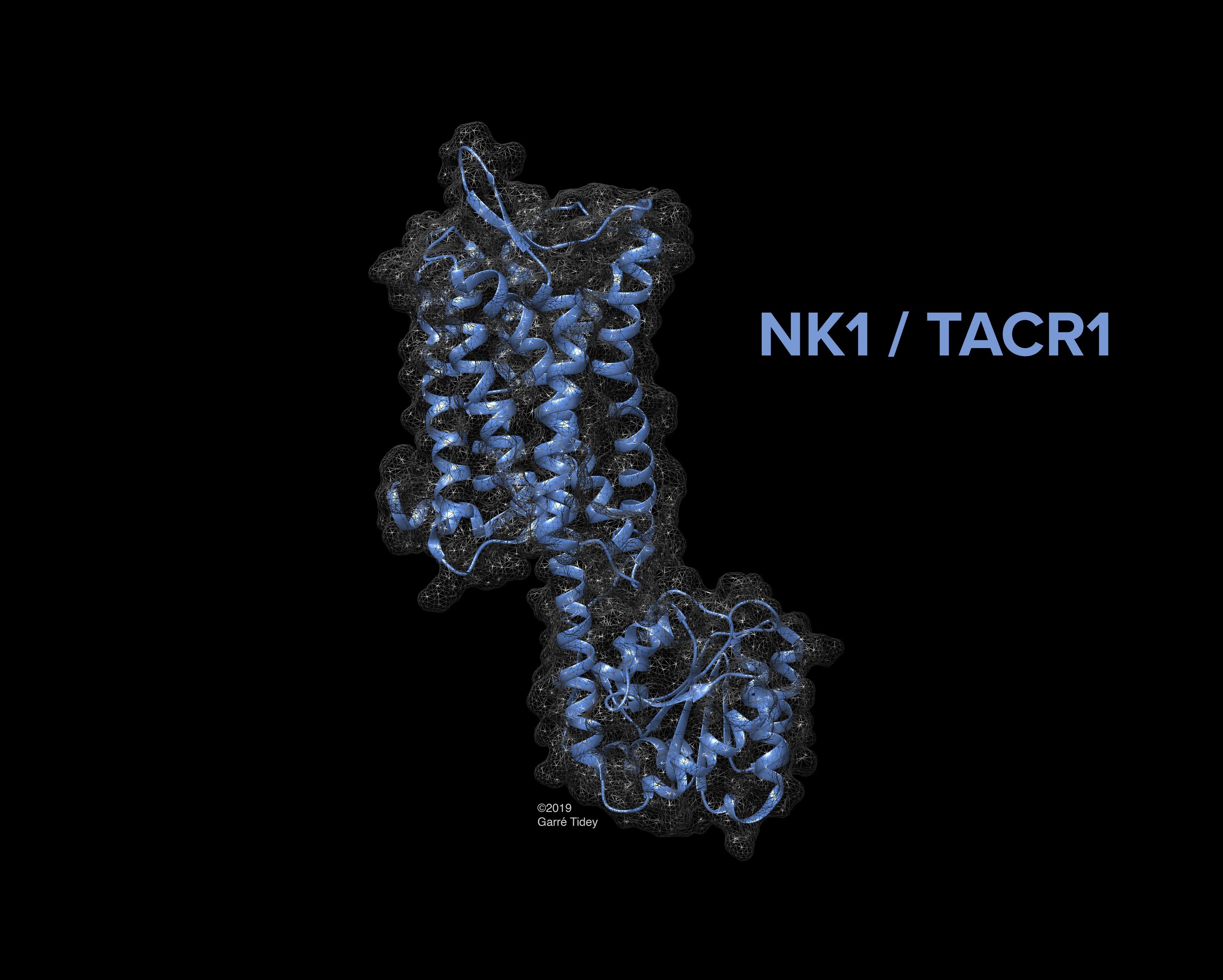 NK1 Receptor Molecular Model. Media: PyMOL, Chimera, Cinema 4D, Photoshop