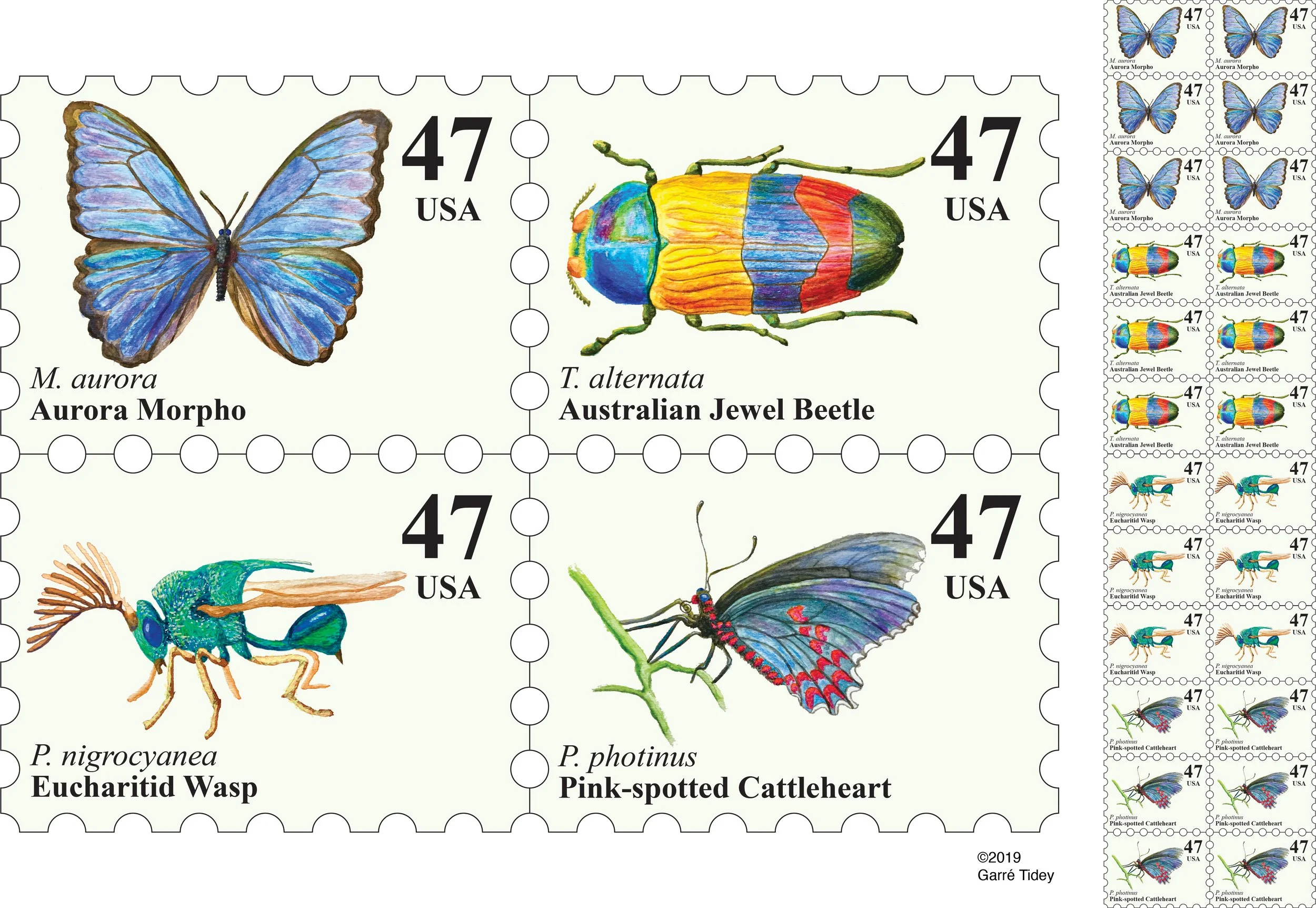 Tropical Insect Stamp Series. Media: Watercolor, Adobe Illustrator