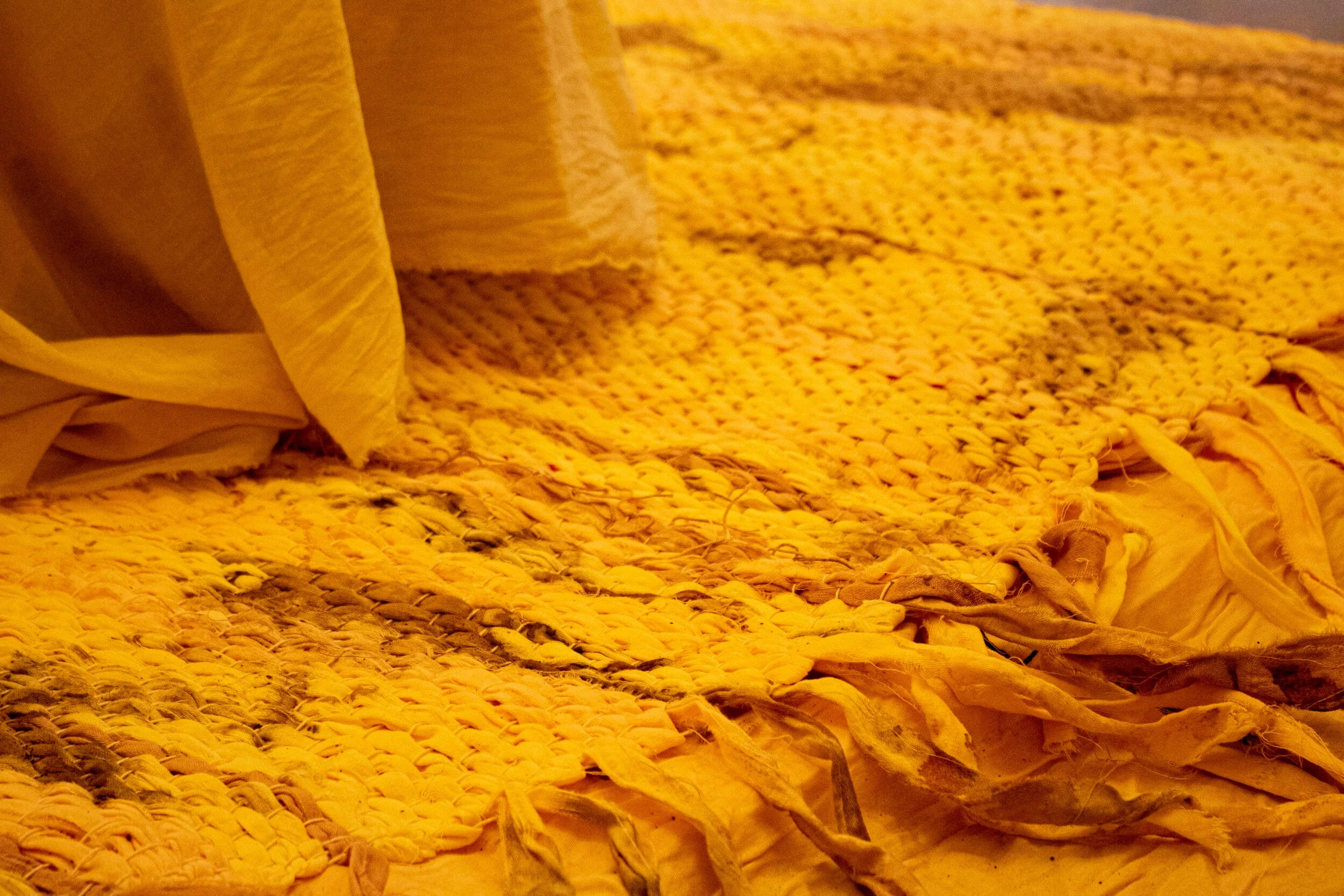 Vidushi Lohia_Chai Pe Charcha.jpg