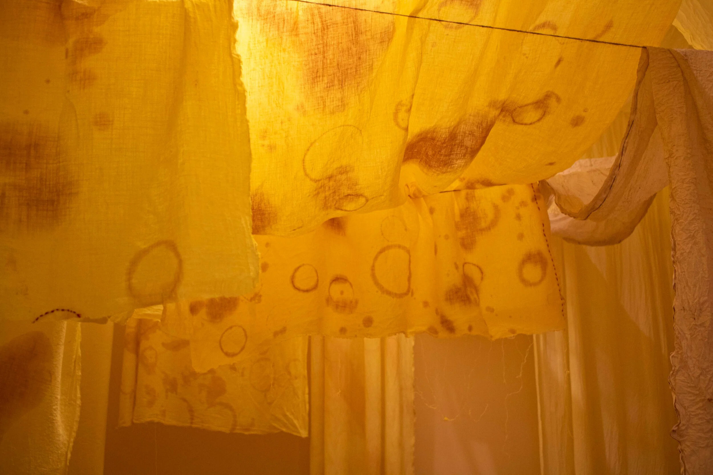 Vidushi Lohia_Chai Pe Charcha 2.jpg