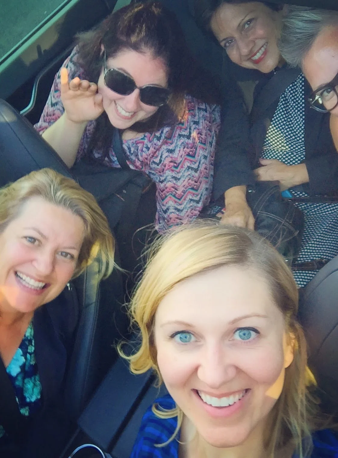 WEVs 2015 in Tesla.jpg