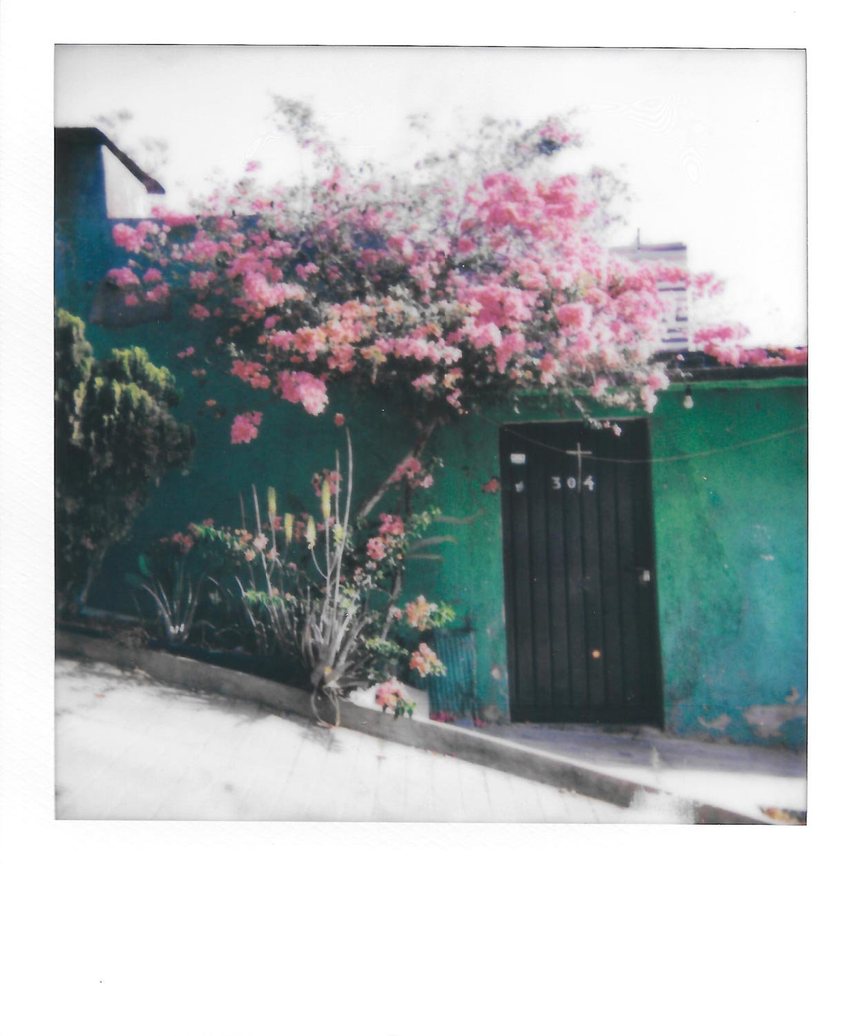 Oaxaca-Polaroids-1.jpg
