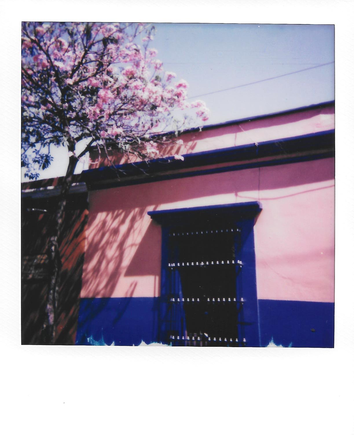 Oaxaca-Polaroids-16.jpg