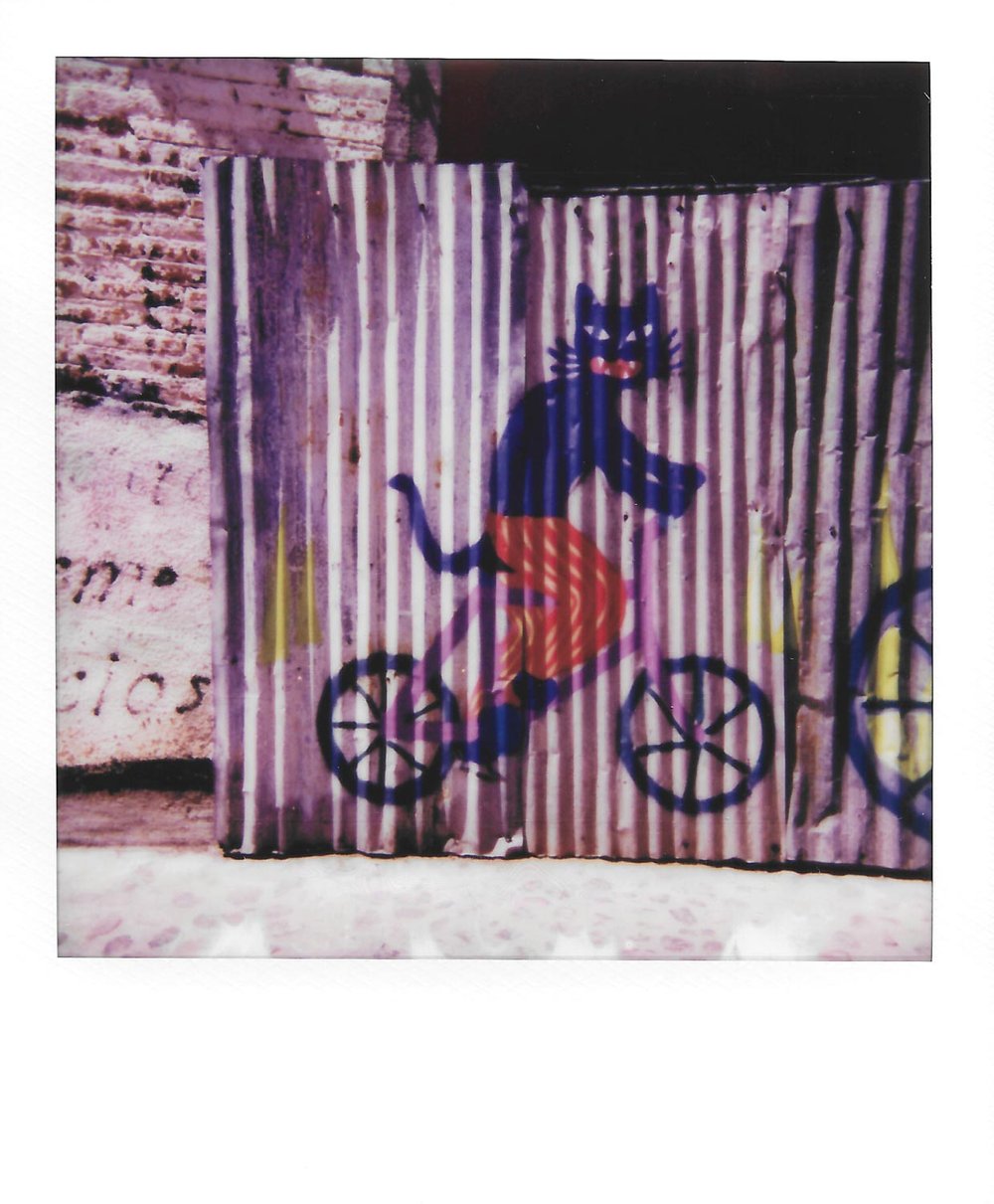 Oaxaca-Polaroids-18.jpg