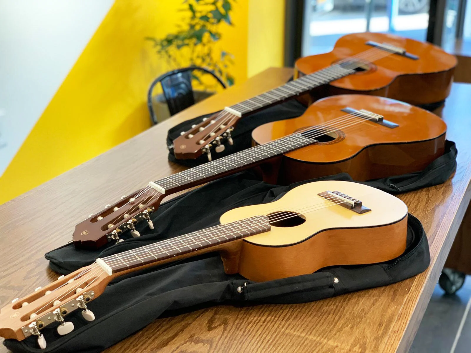 SUPtown Guitar Rental.jpeg