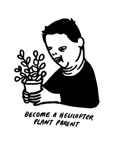 meinquarantine-cropped.jpg