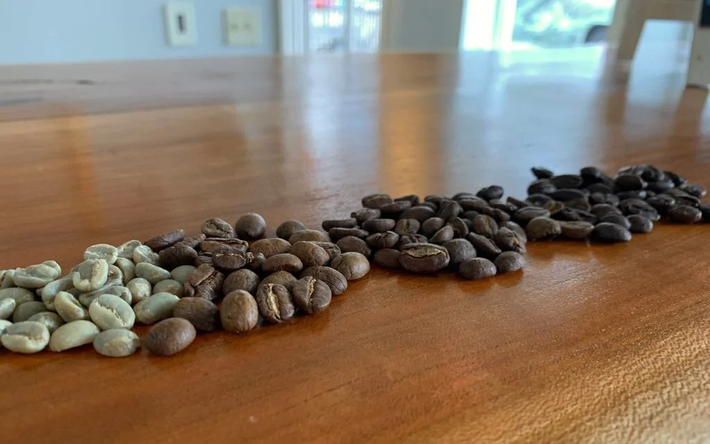 Did you know coffee was discovered by a shepherd?