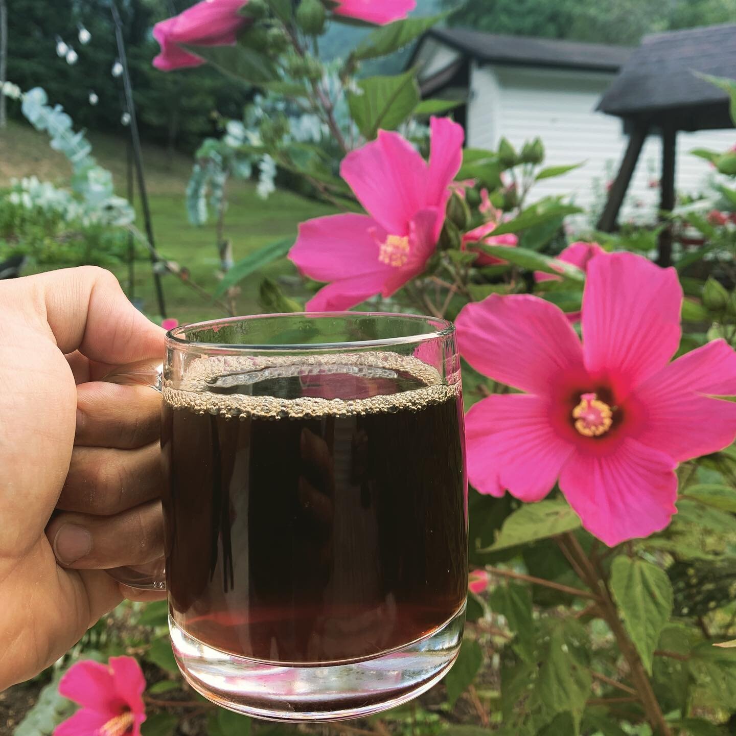 Lincoln Road Colombian roast with a view 🌺 show us your coffee view this morning! ☕️🌄 head to the link in our bio to have LR shipped to your door 📦🚪#LincolnRoadRoastery #DoGoodThings