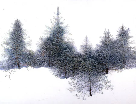 06_winter_pines.jpg
