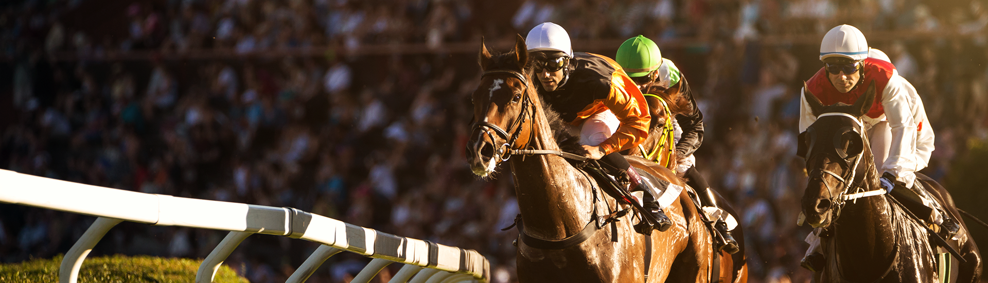 PMY_Curragh_Header.png