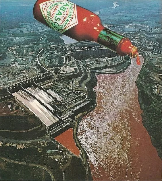 A importância do respeito nas escolhas alimentares dos outros e nossas