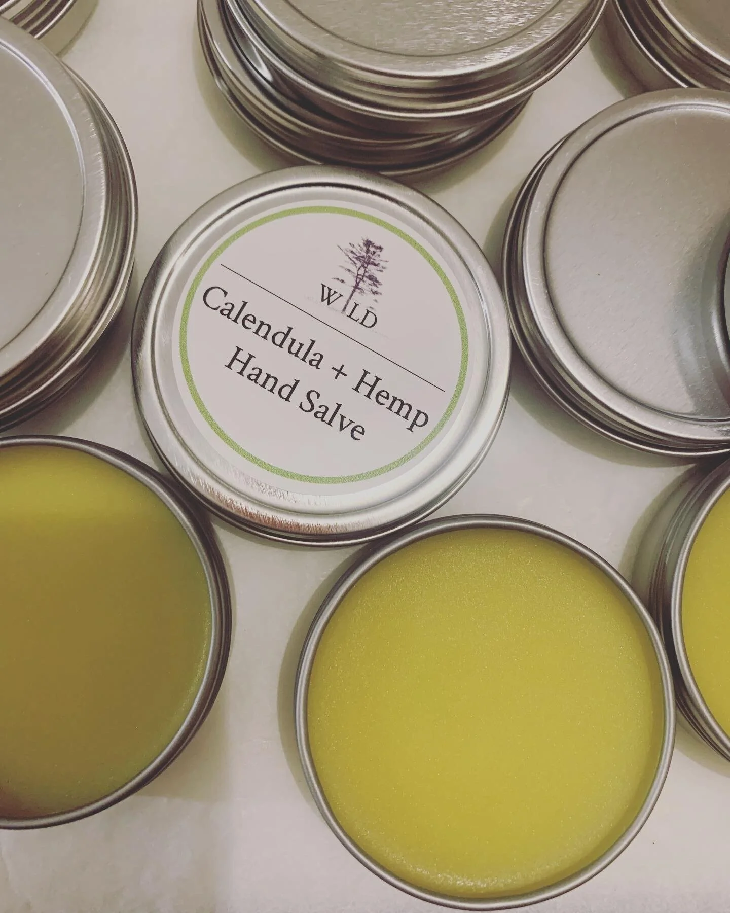 C110B663-08C5-4E1C-857A-E2C966262E53