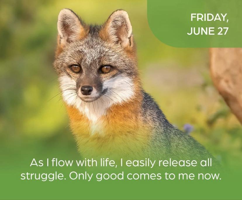 Louise Hay calendar: