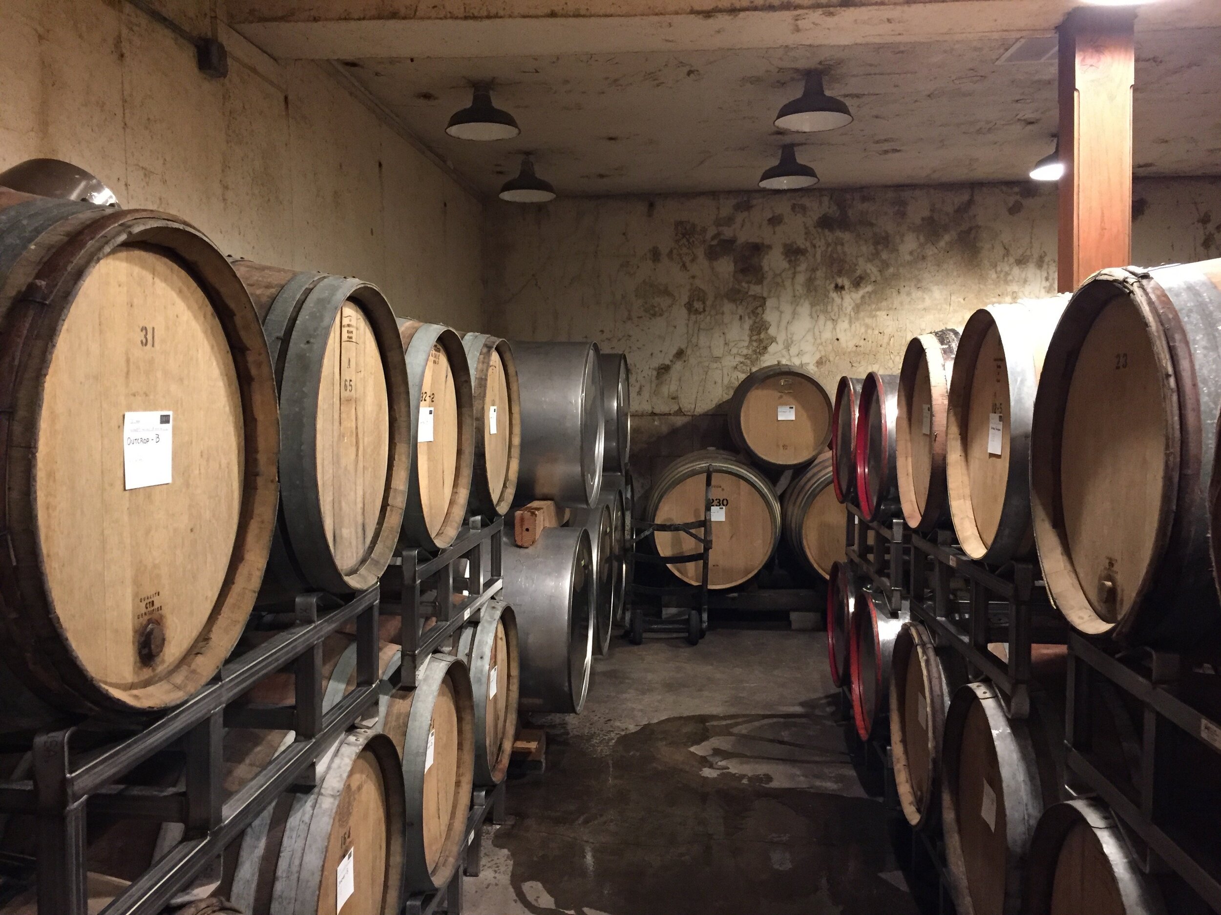 eyrie_vineyards_cellar.jpg