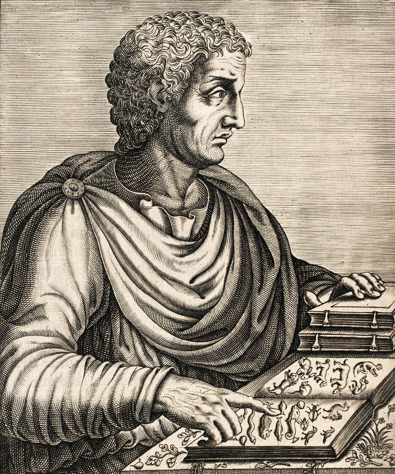 Pliny-the-Elder.jpg