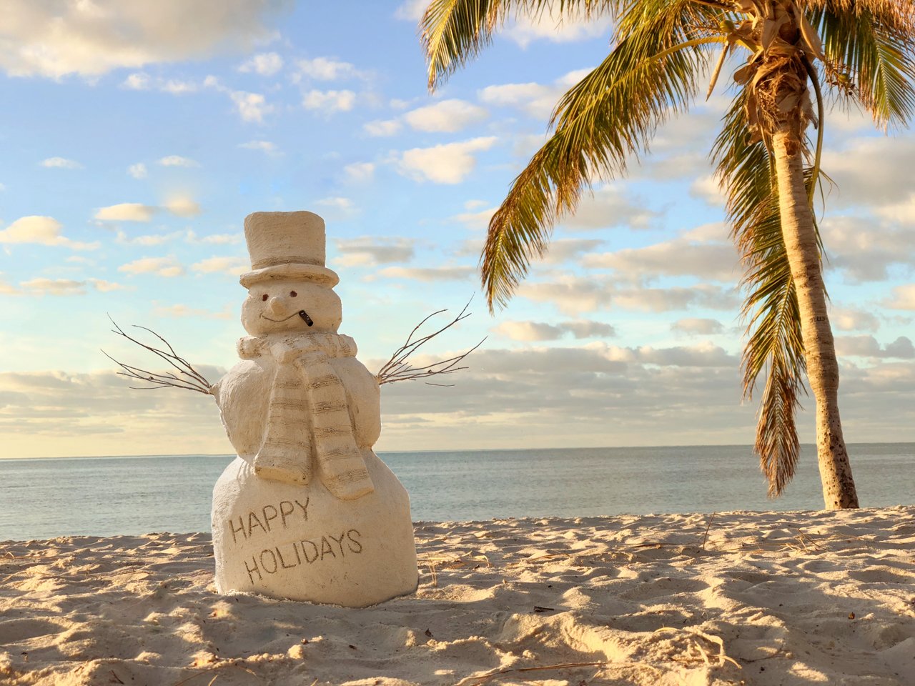 snowman & tree.jpg