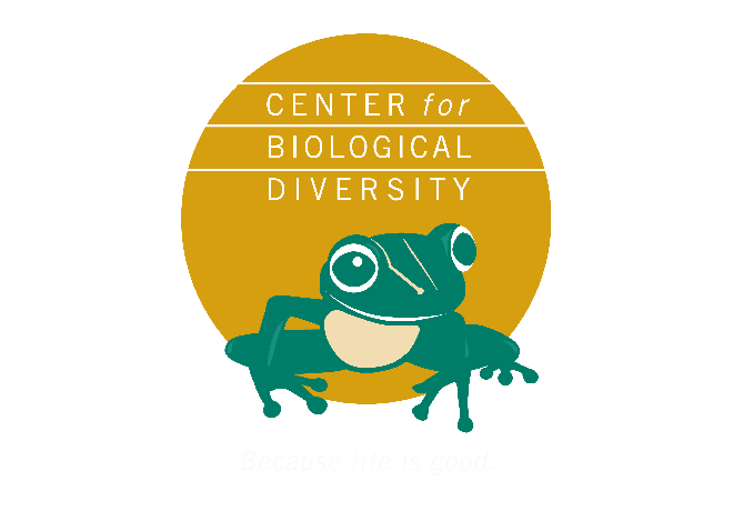 centerlogo.png