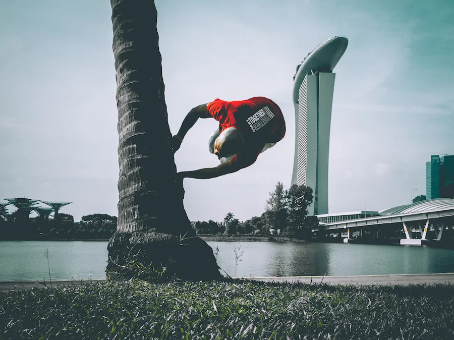 Senatus-Superfly-Parkour-2-Wallspin-Myk.jpg