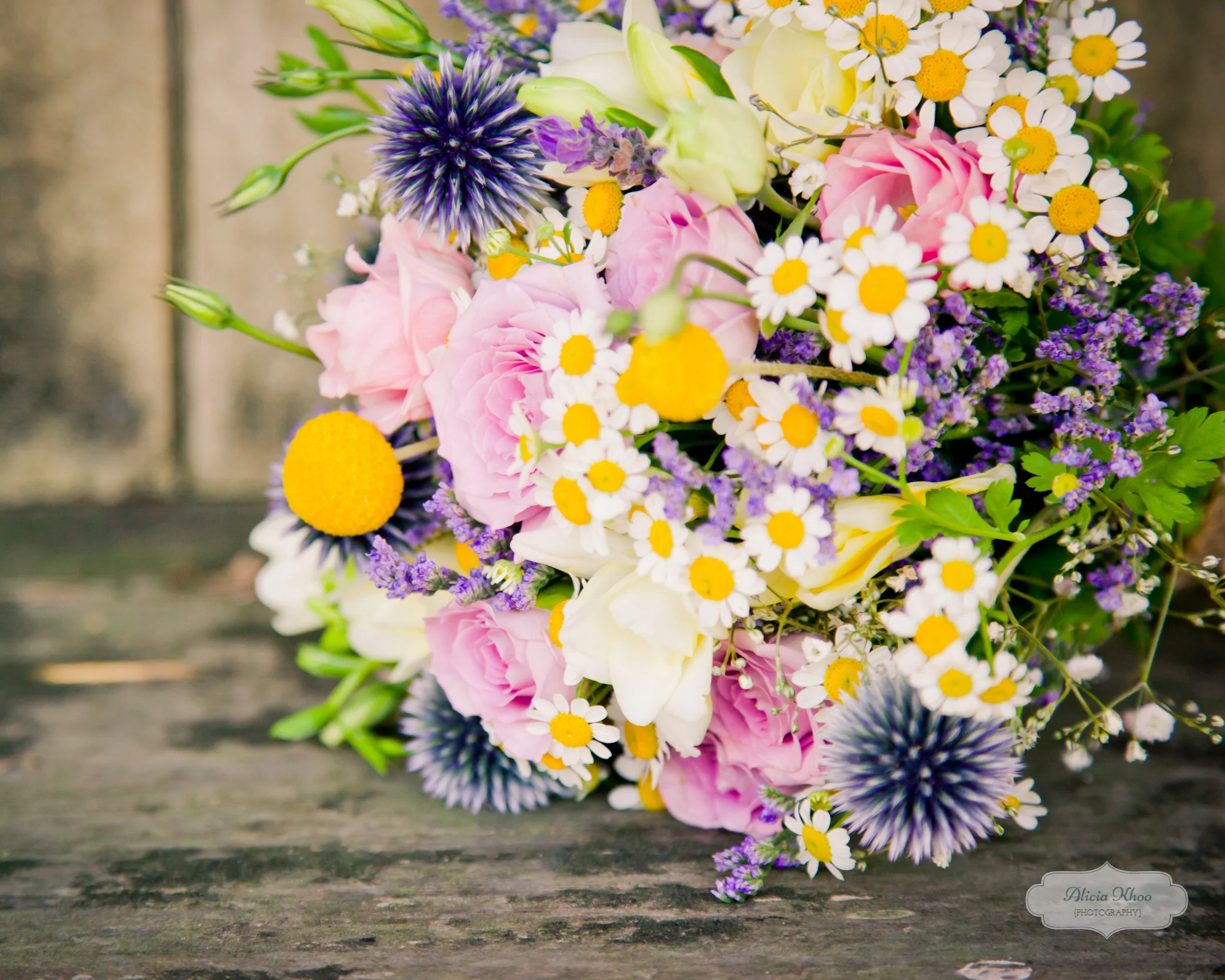 Alicia Khoo Photography-7338.jpg