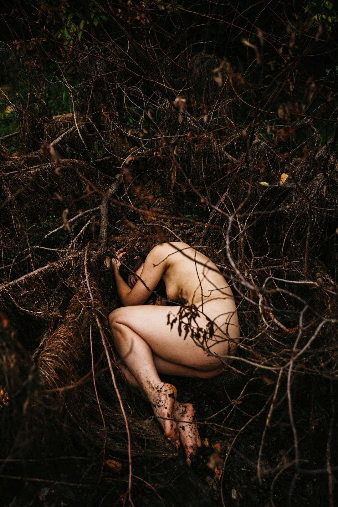 FC6F0AB6-0FB4-4317-A681-18E8908646B9