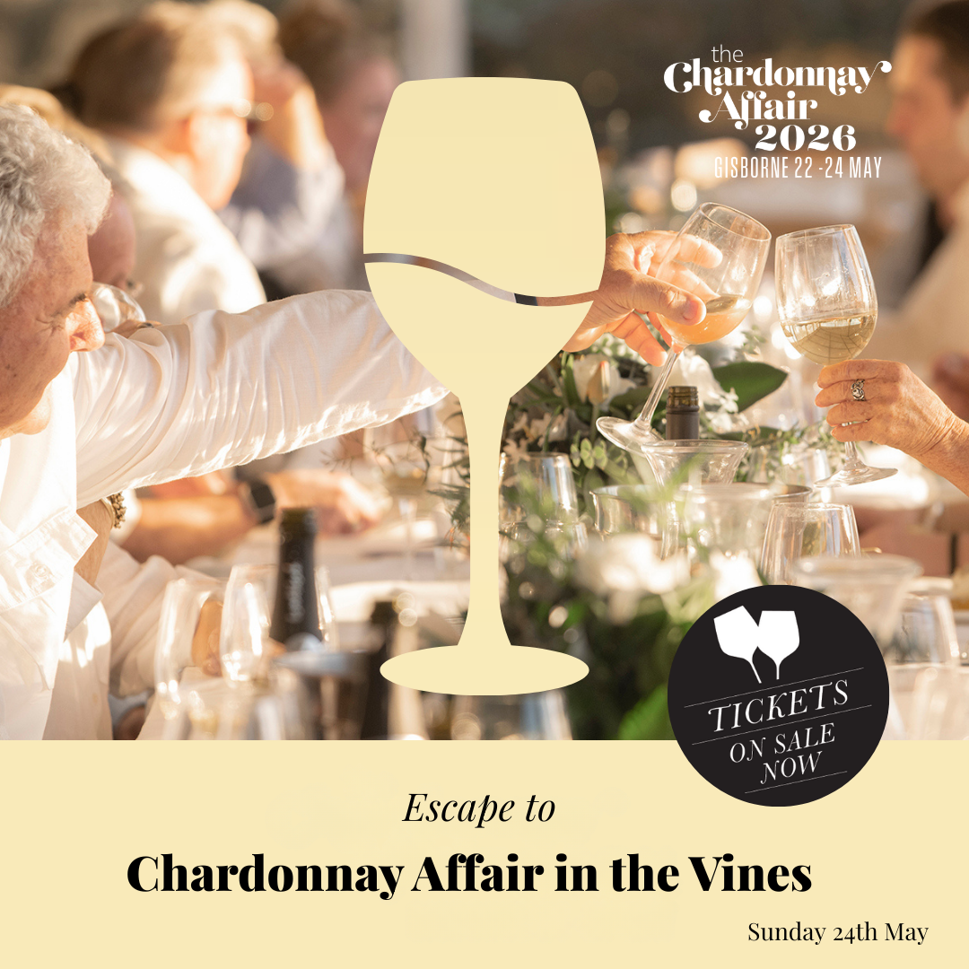 Chardonnay in the vines