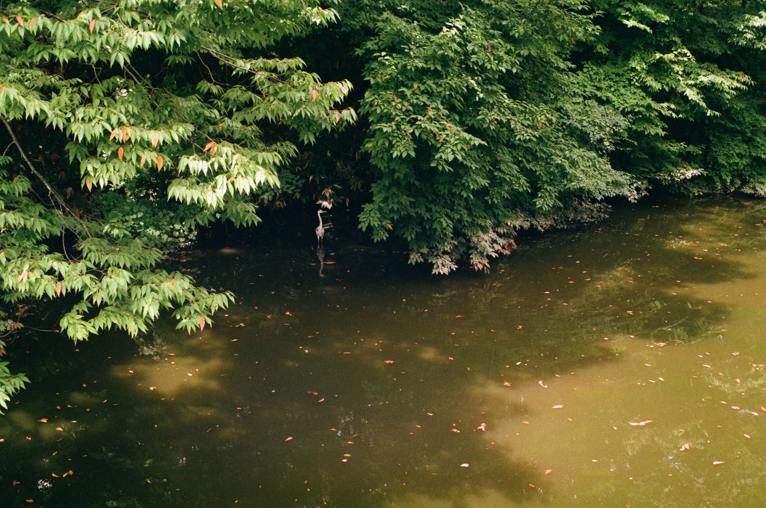 001664580012.jpg