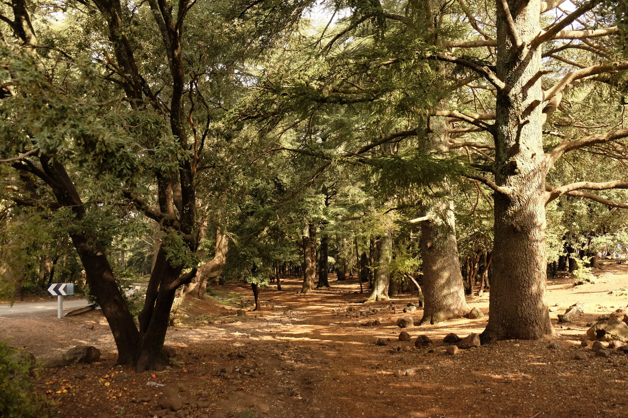 DSCF1082.JPG