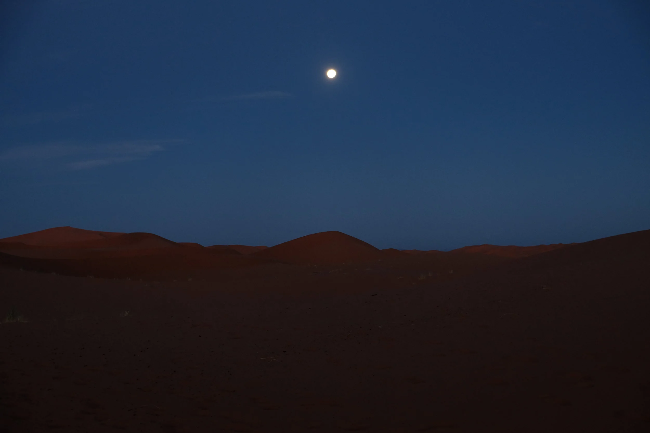 DSCF1208.JPG