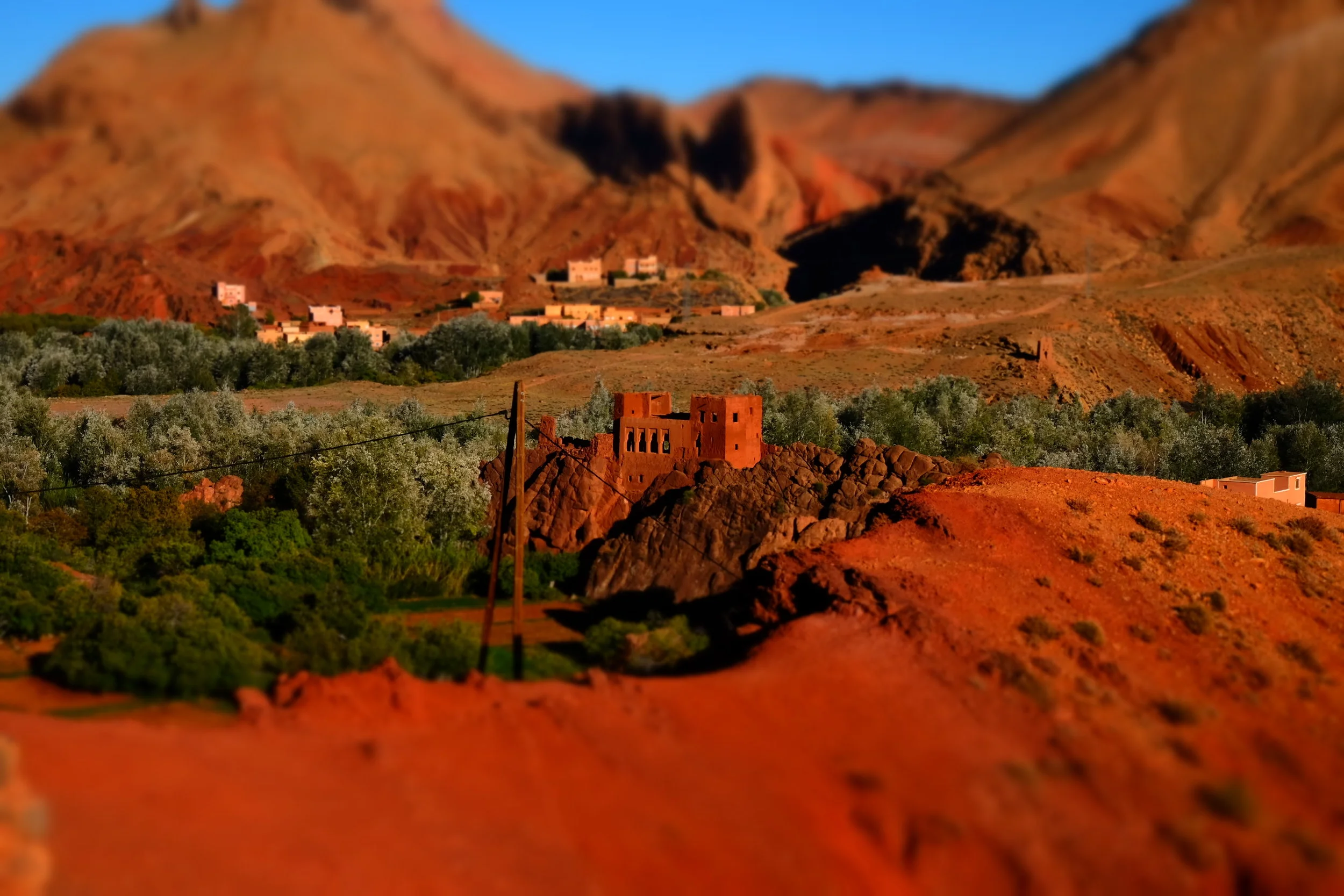DSCF1261.JPG