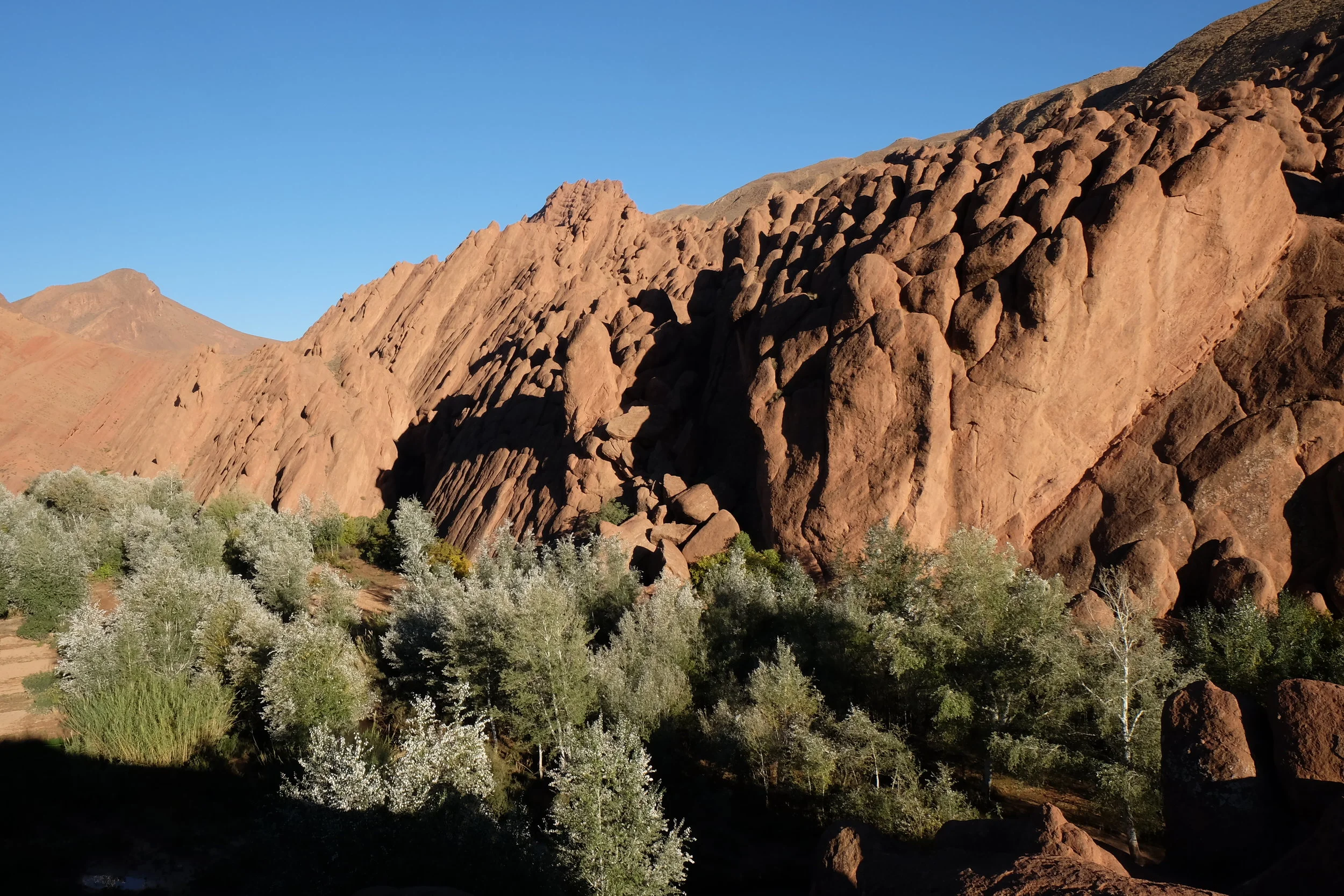 DSCF1263.JPG