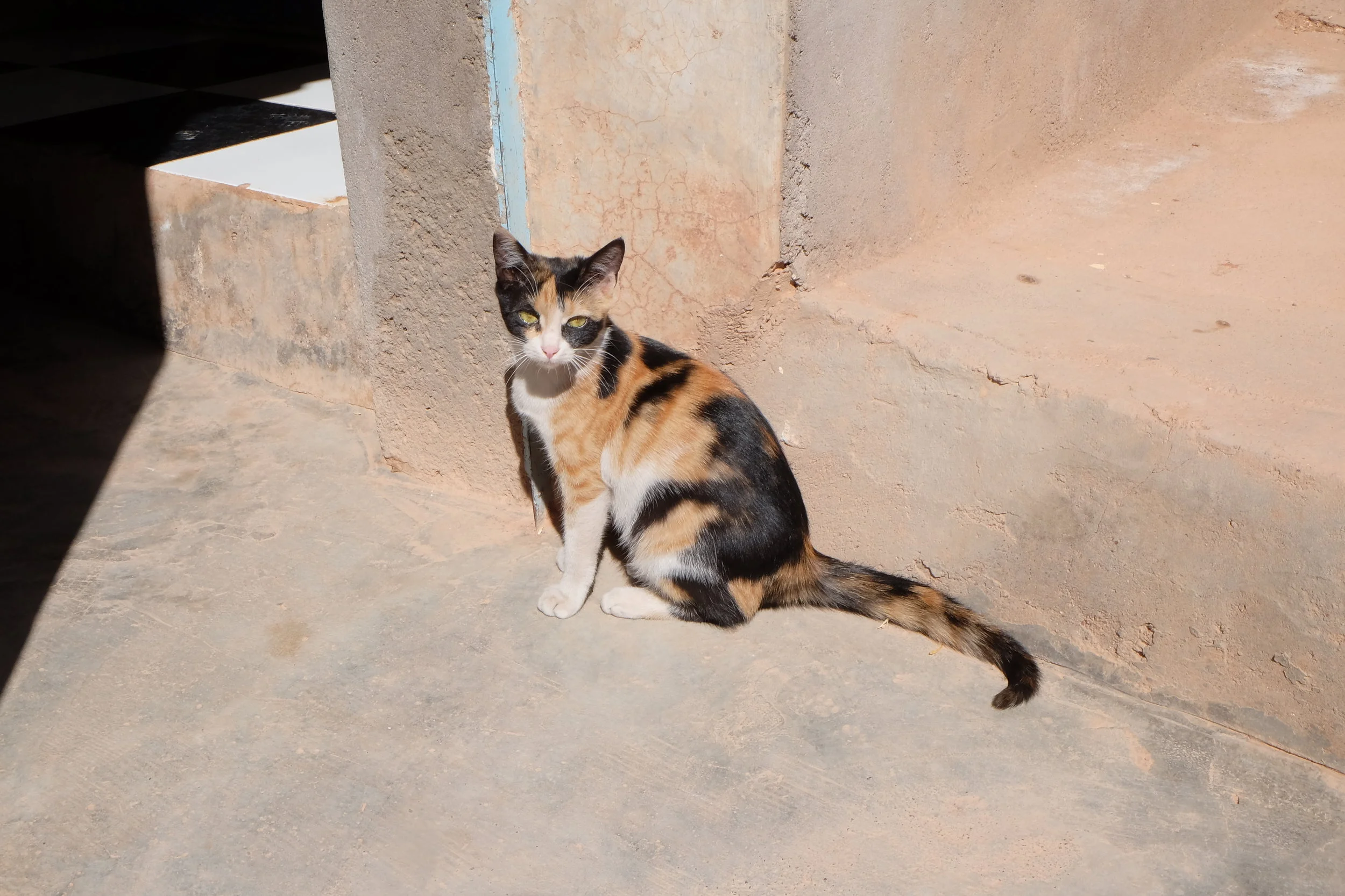 DSCF1286.JPG