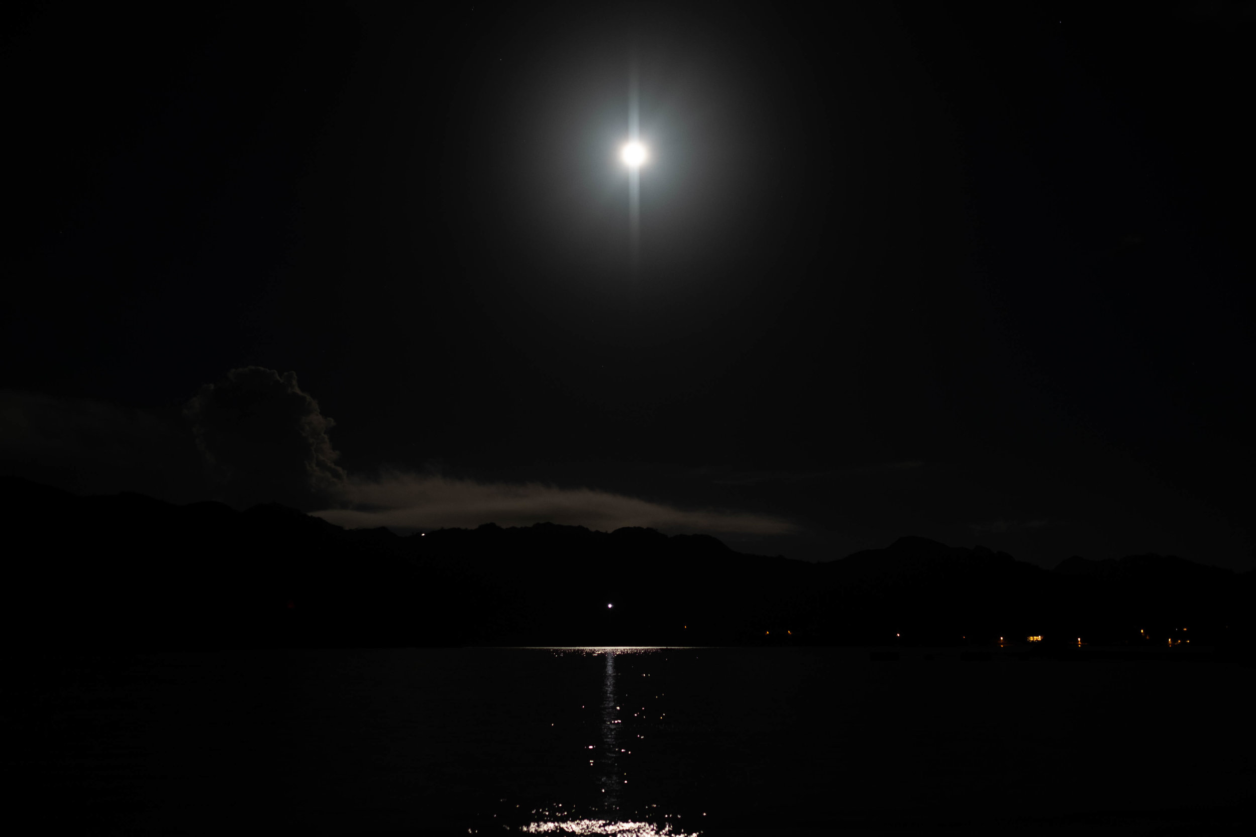 夜の砂浜 Night Beach Natural Habitat