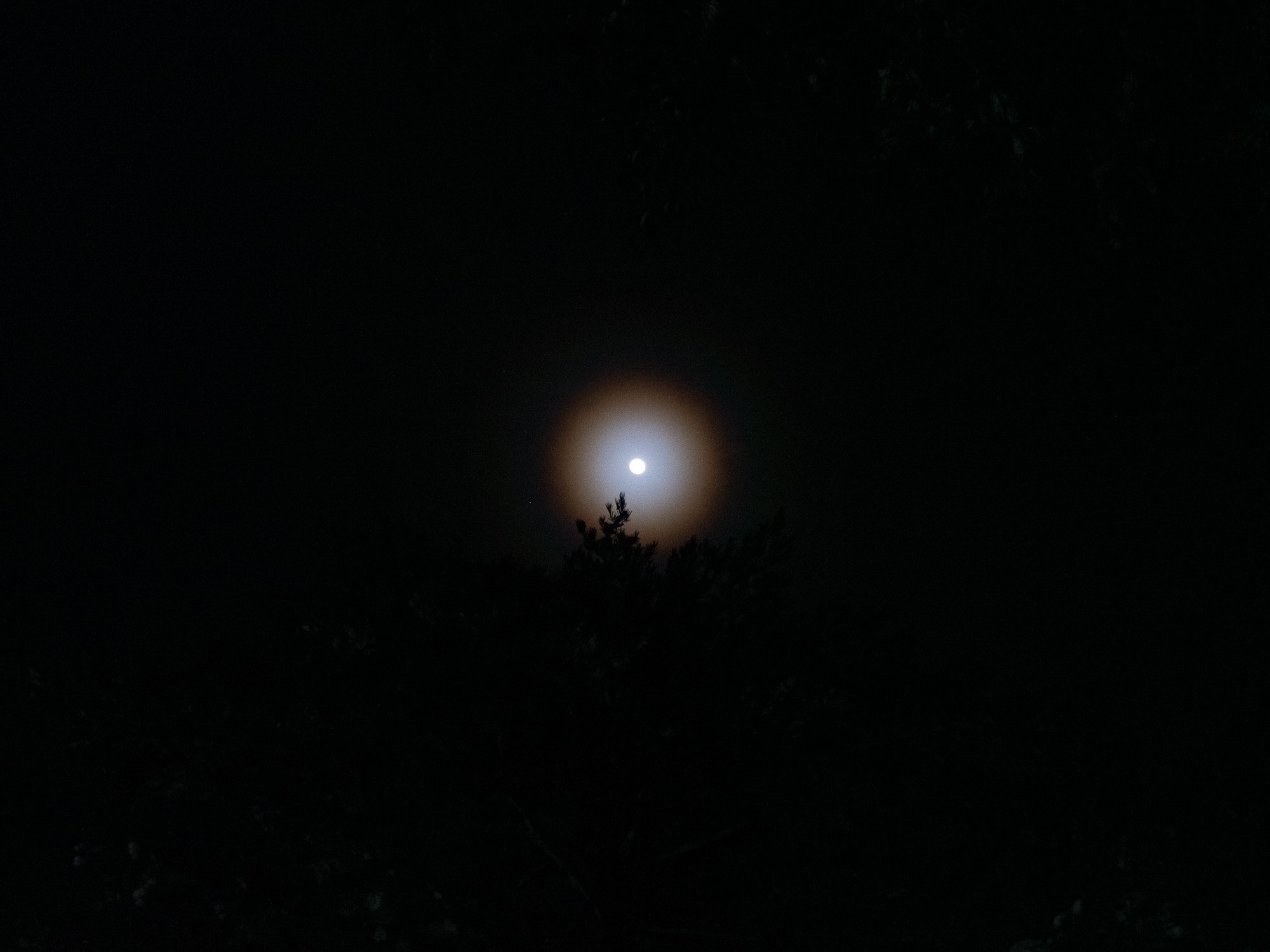 202301 Hakuba-17.jpg