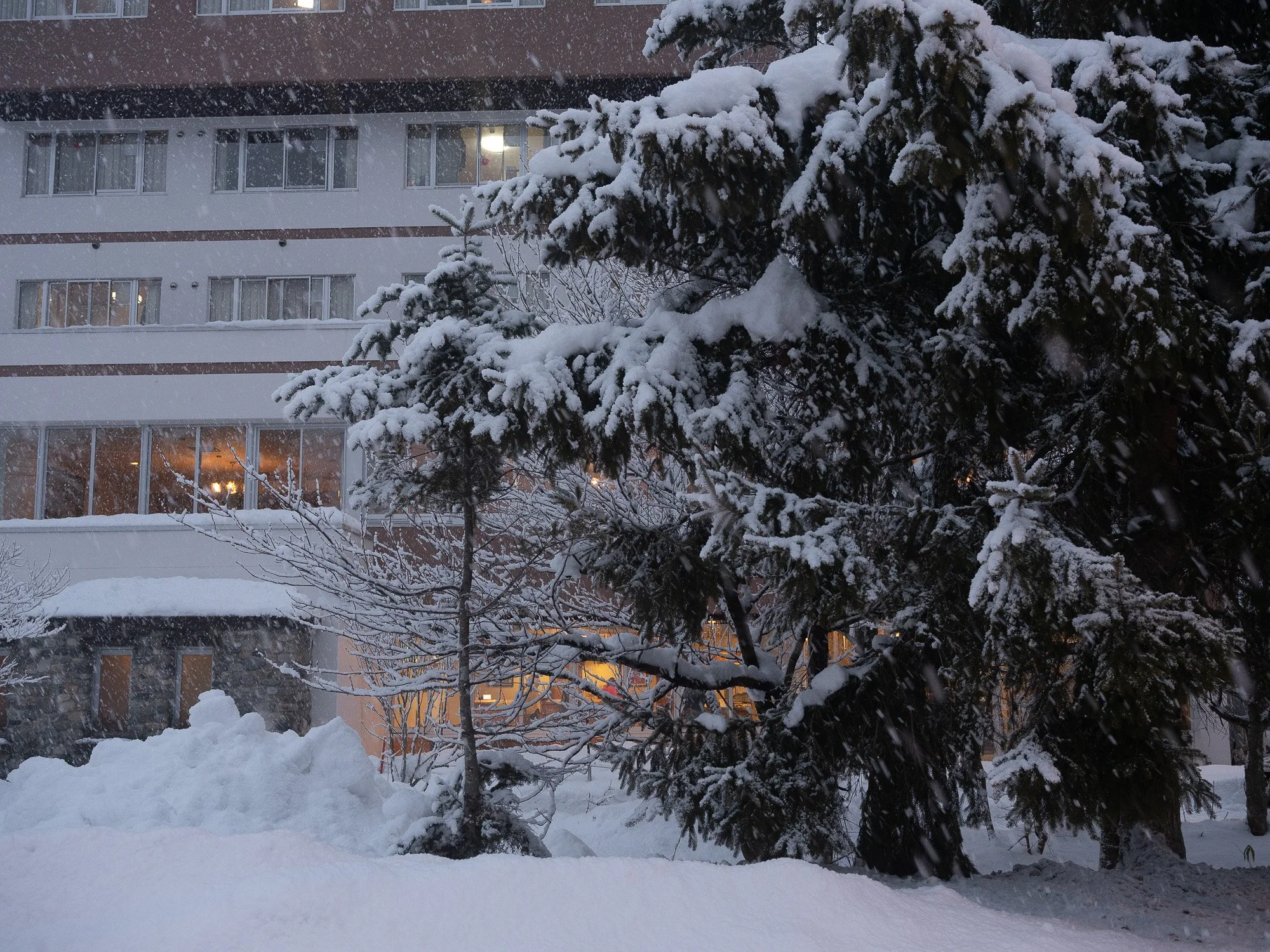 202301 Hakuba-26.jpg