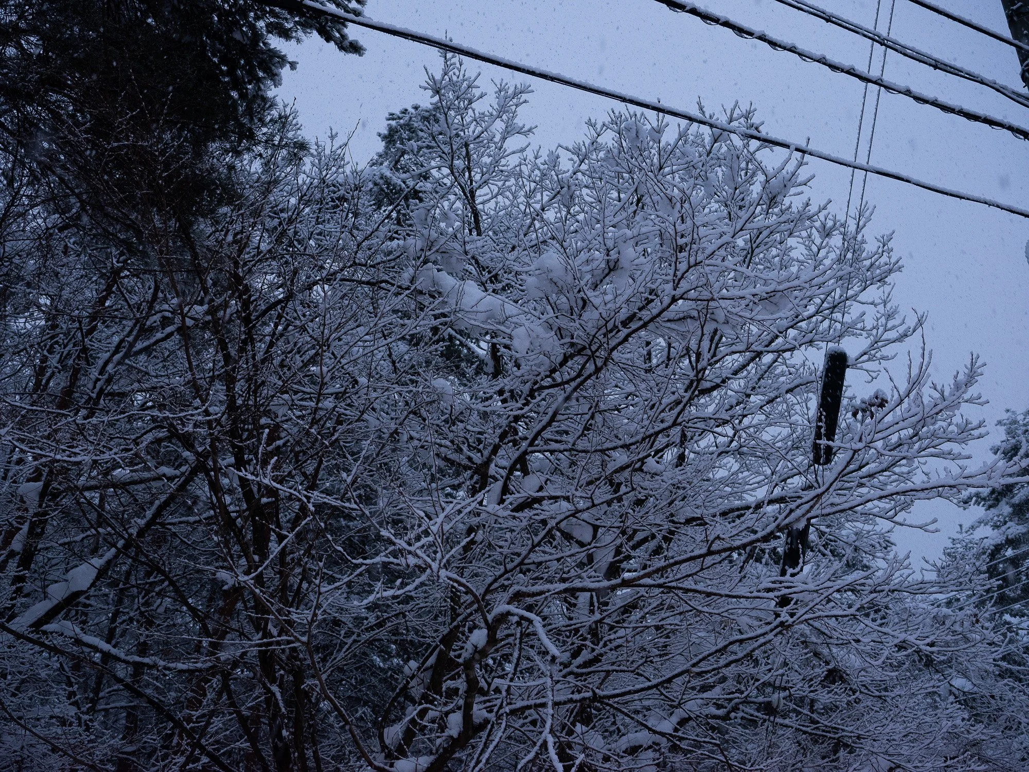202301 Hakuba-27.jpg