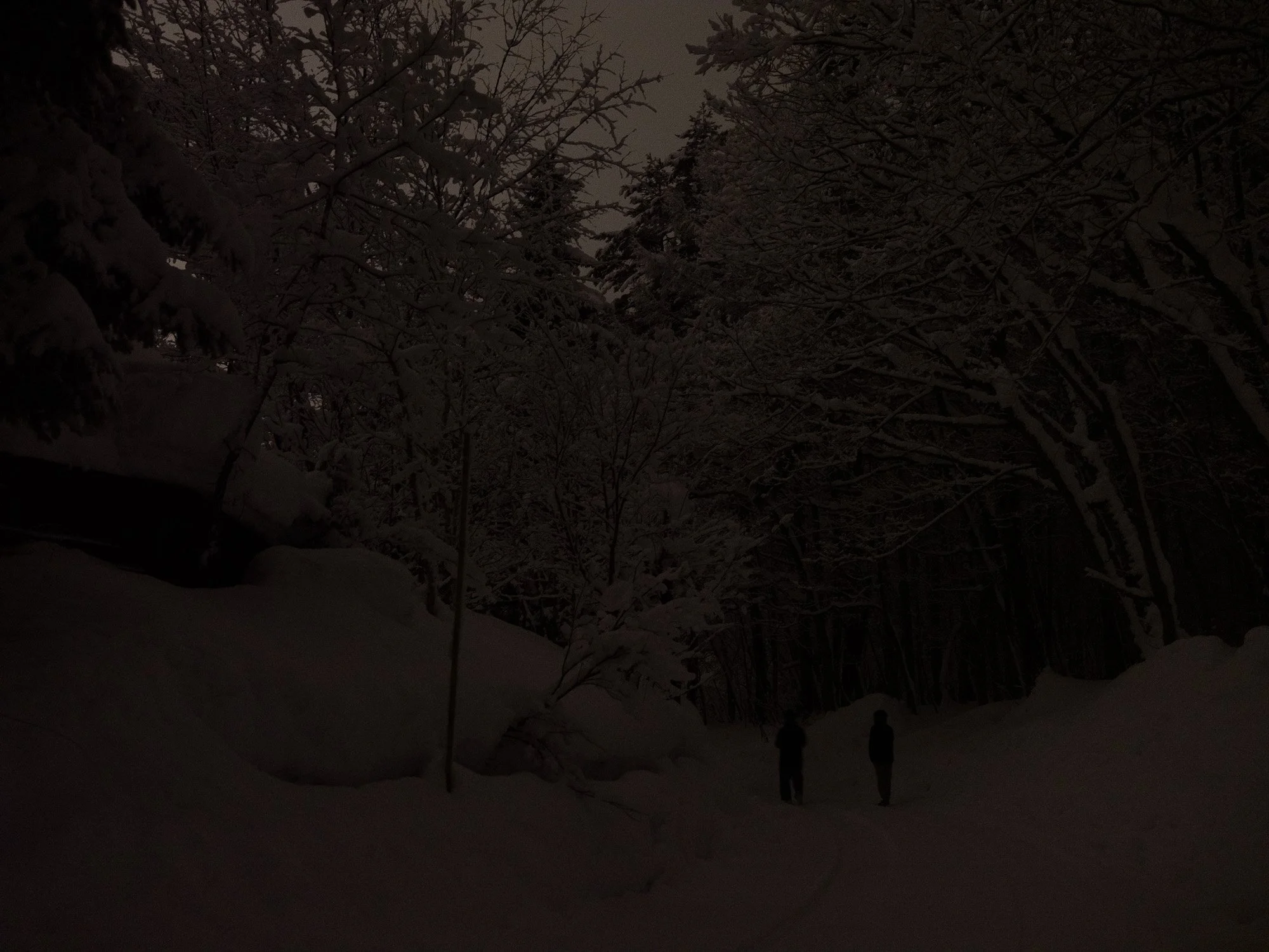 202301 Hakuba-38.jpg