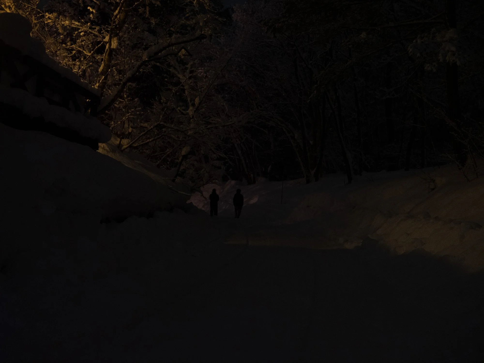 202301 Hakuba-37.jpg