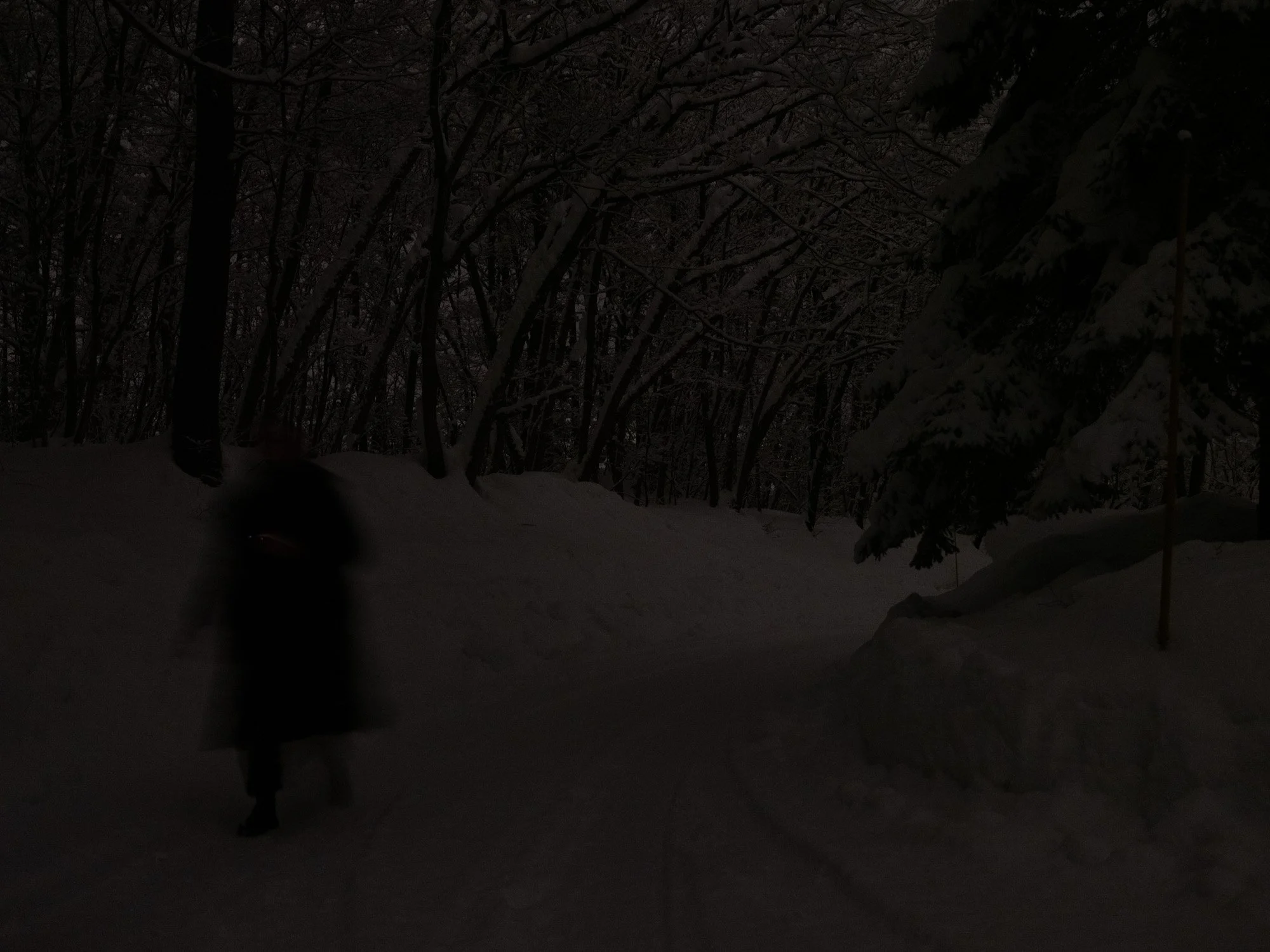 202301 Hakuba-41.jpg