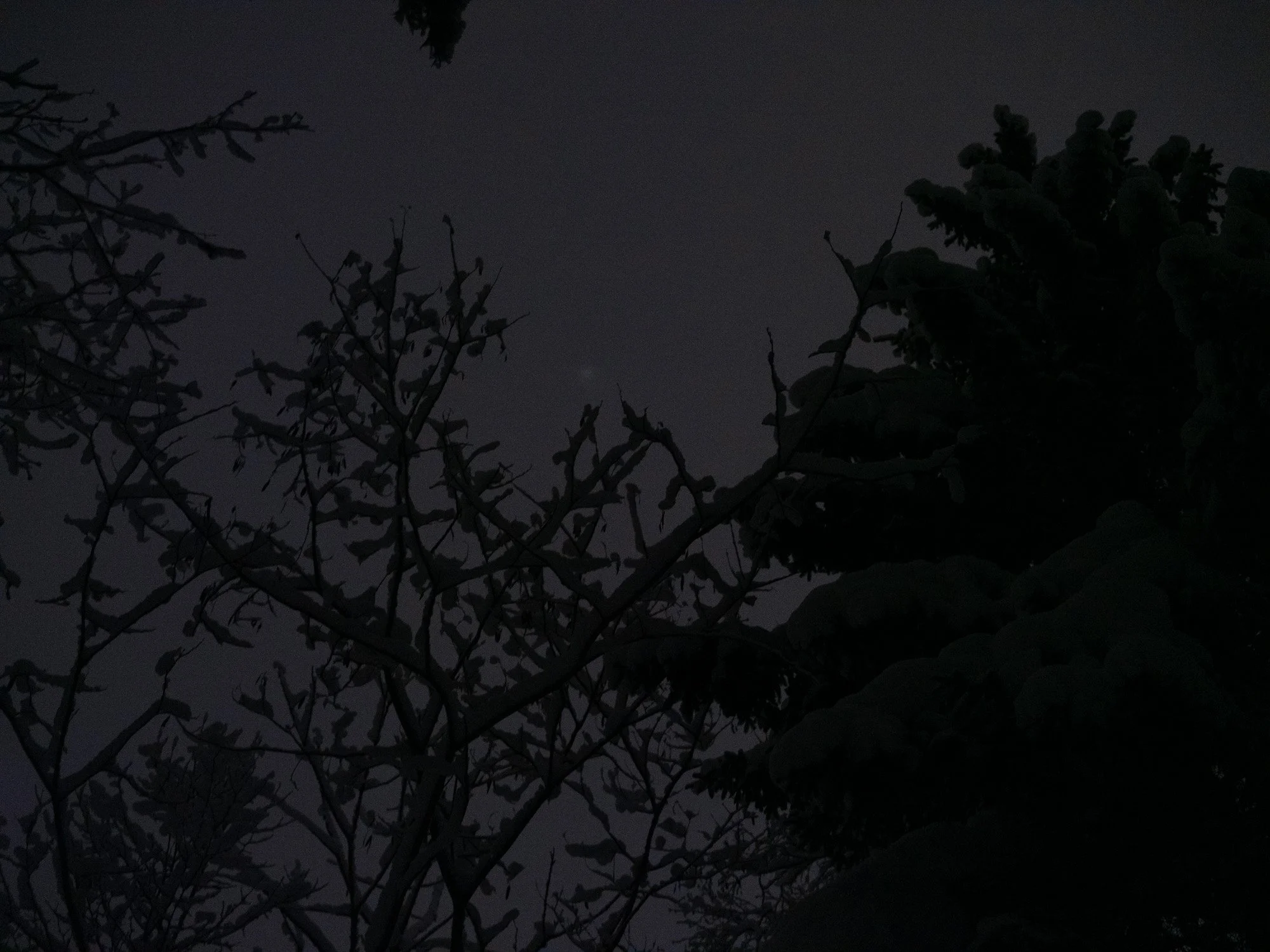 202301 Hakuba-49.jpg